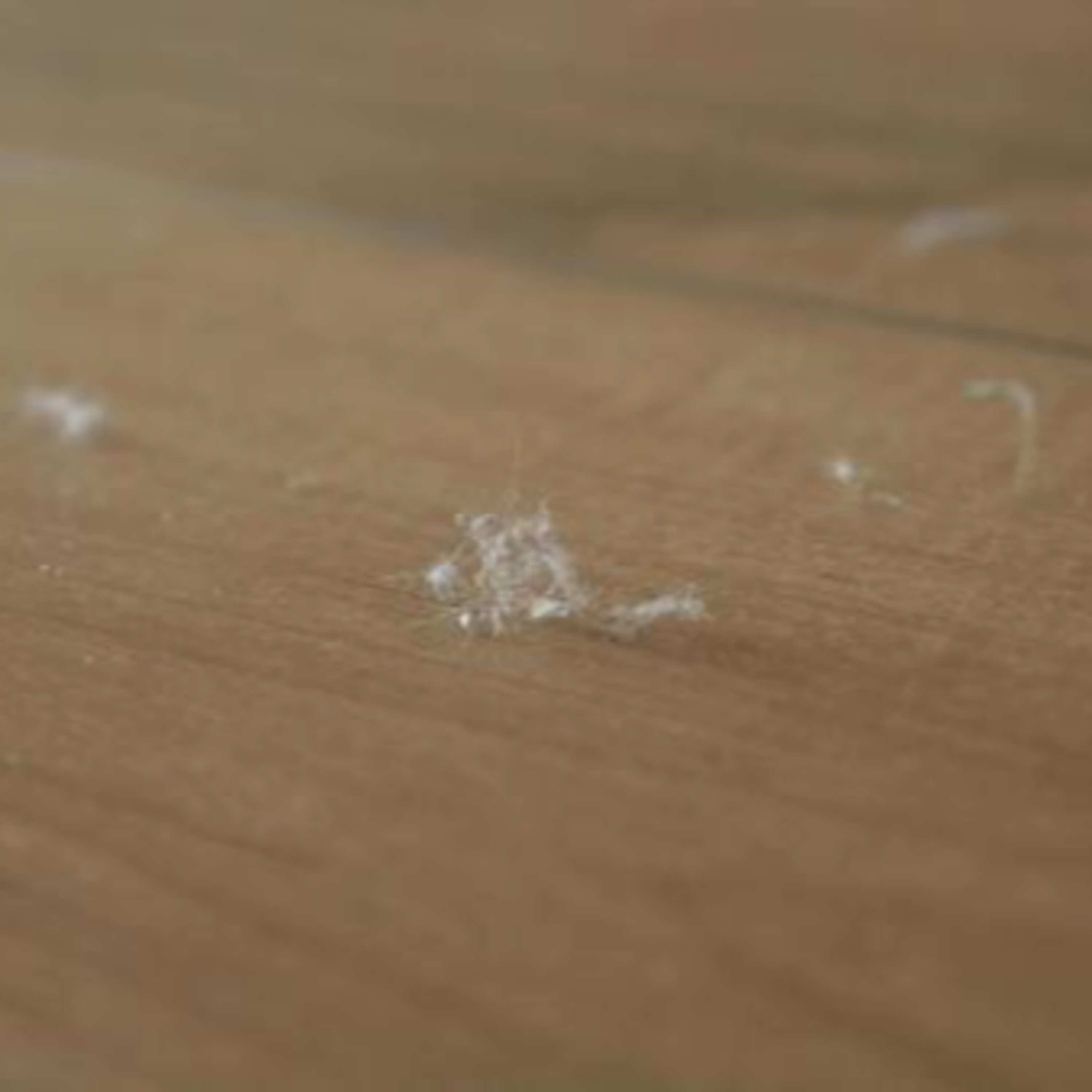 実は化学物質だらけ　家の中の「ホコリ」を掃除するには？ episode artwork