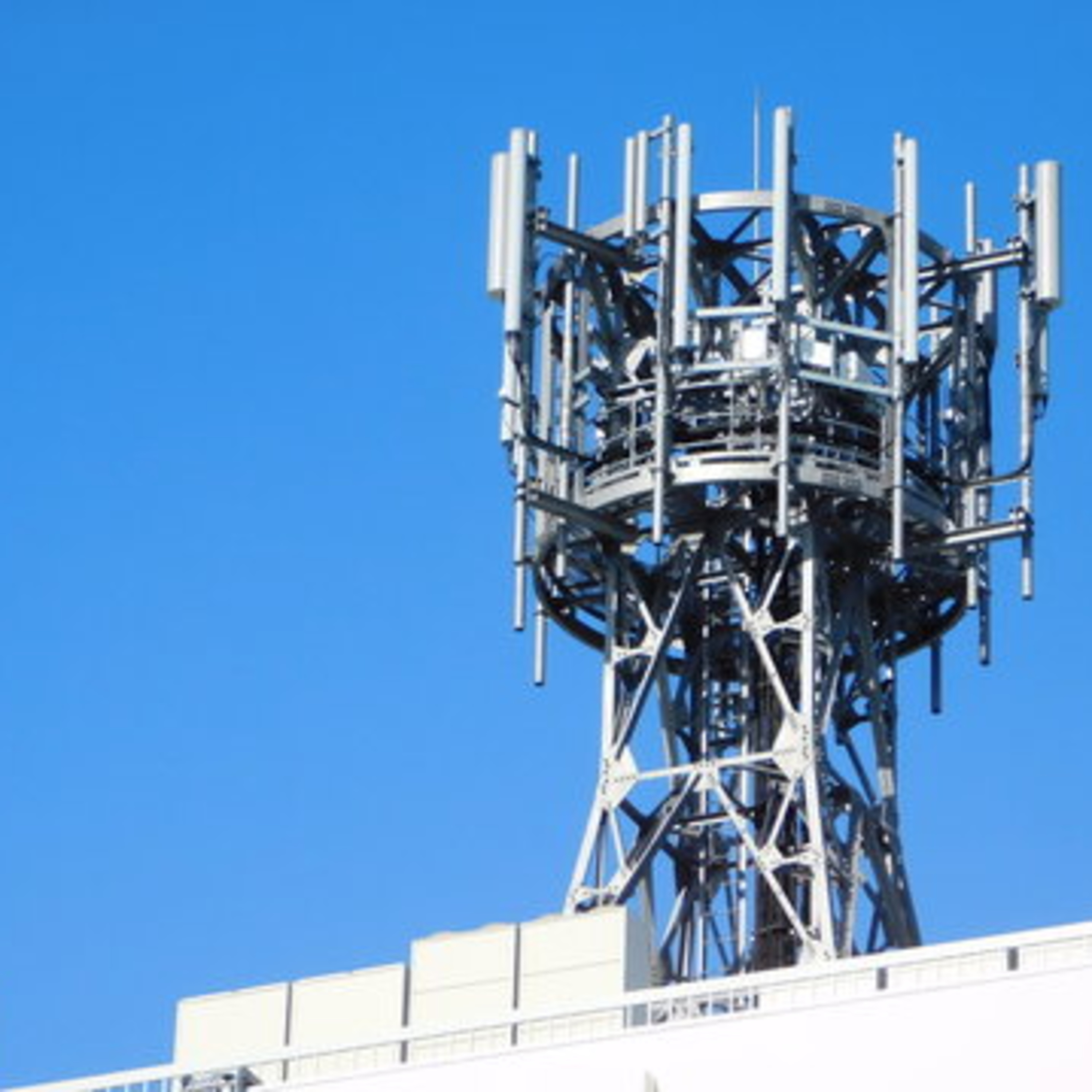 電磁波の健康影響についての最新報告論文②　携帯電話の電波と「白血球」の変動 episode artwork