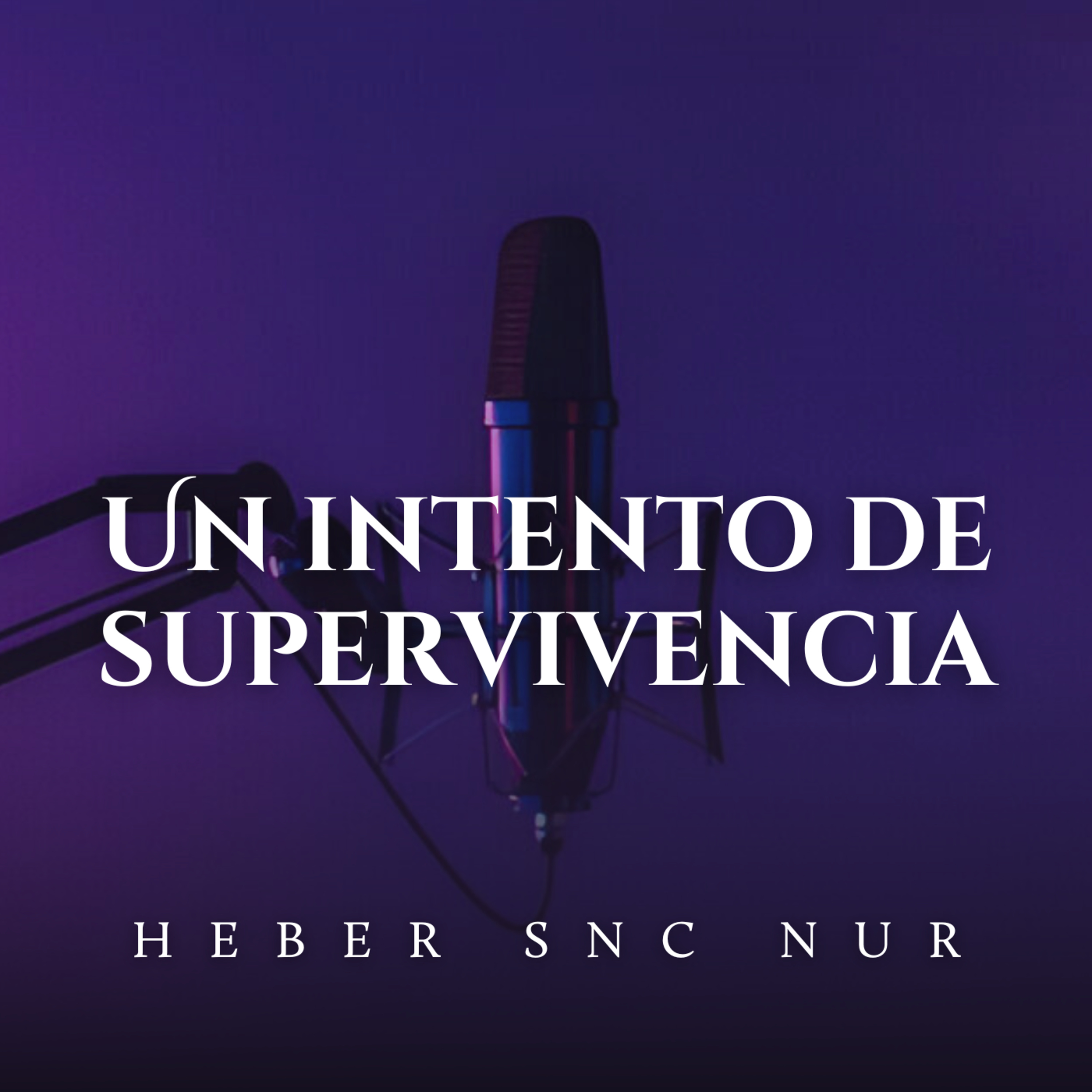 Conticinio: el horario del alma 🌙