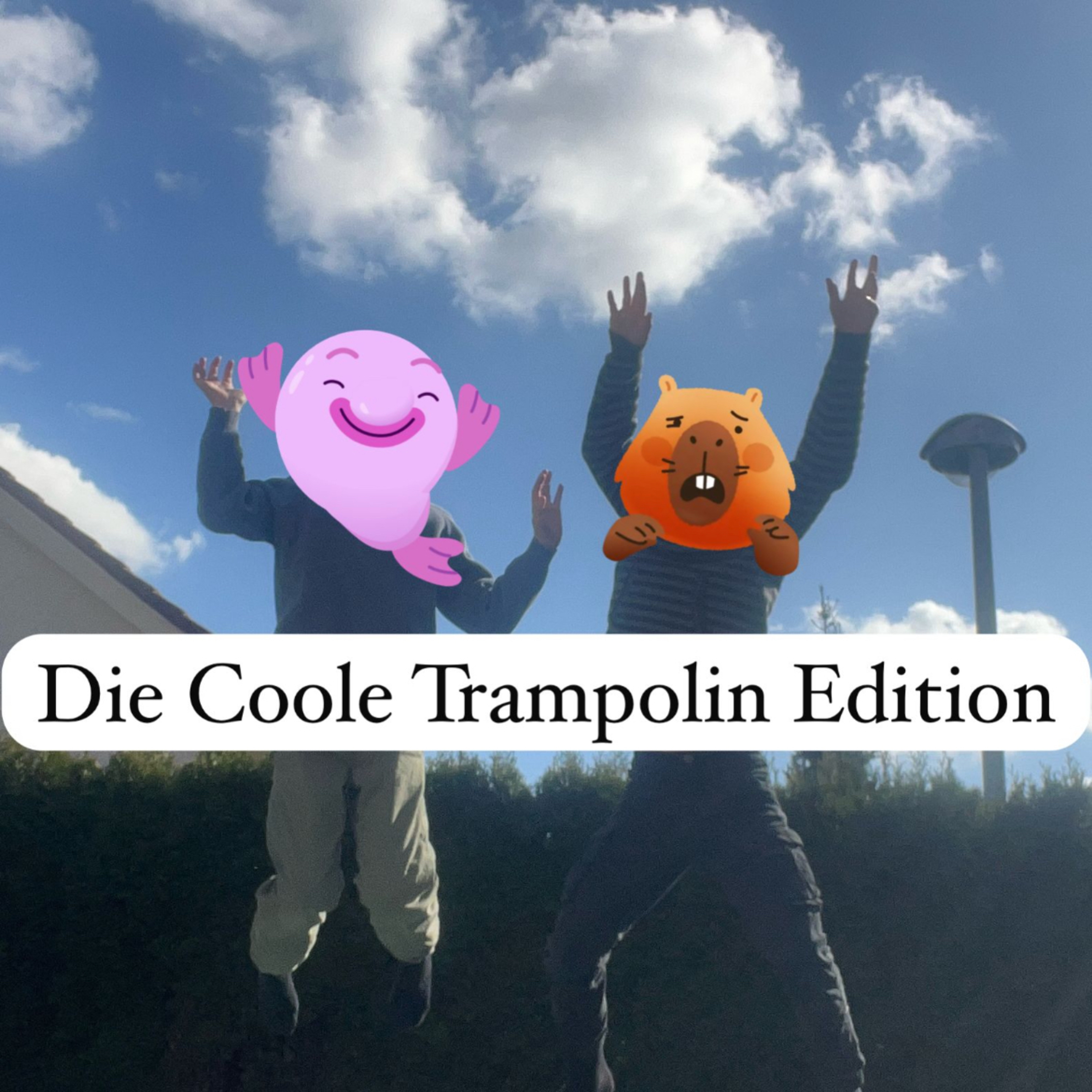 Die Coole Trampolin Edition episode artwork