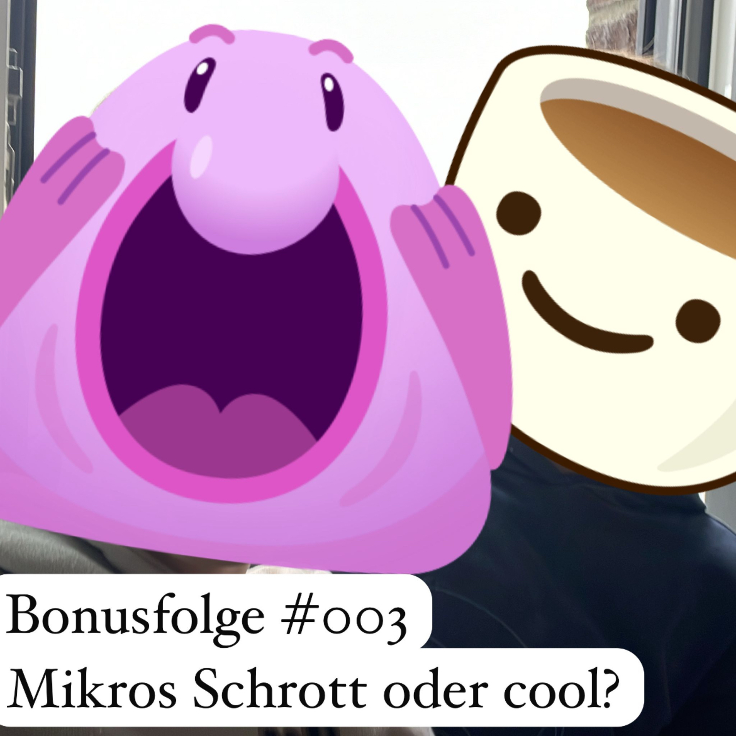 Mikros Schrott oder cool? episode artwork