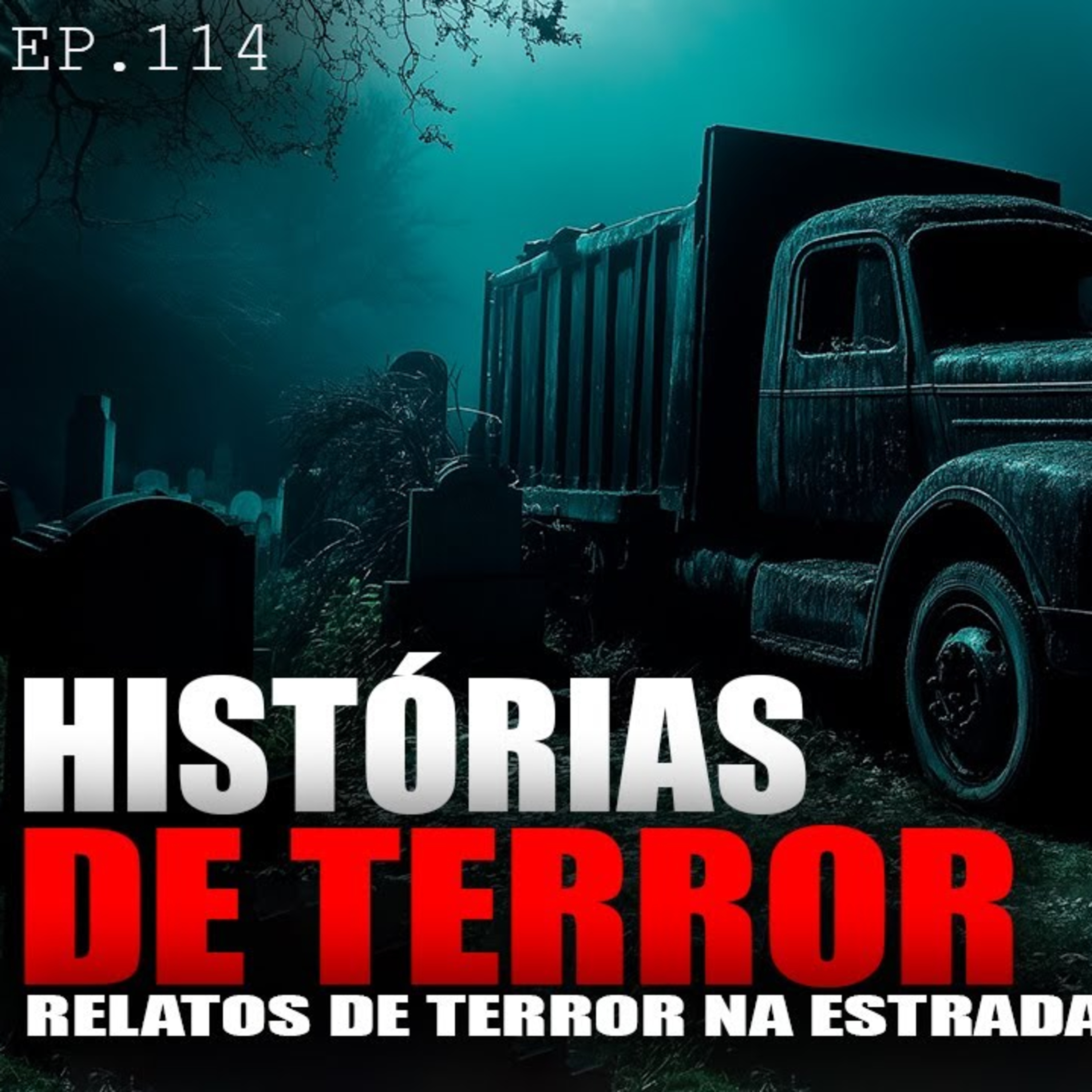 HISTÓRIAS DE TERROR - 6 RELATOS DE TERROR NA ESTRADA - ep.114 episode artwork