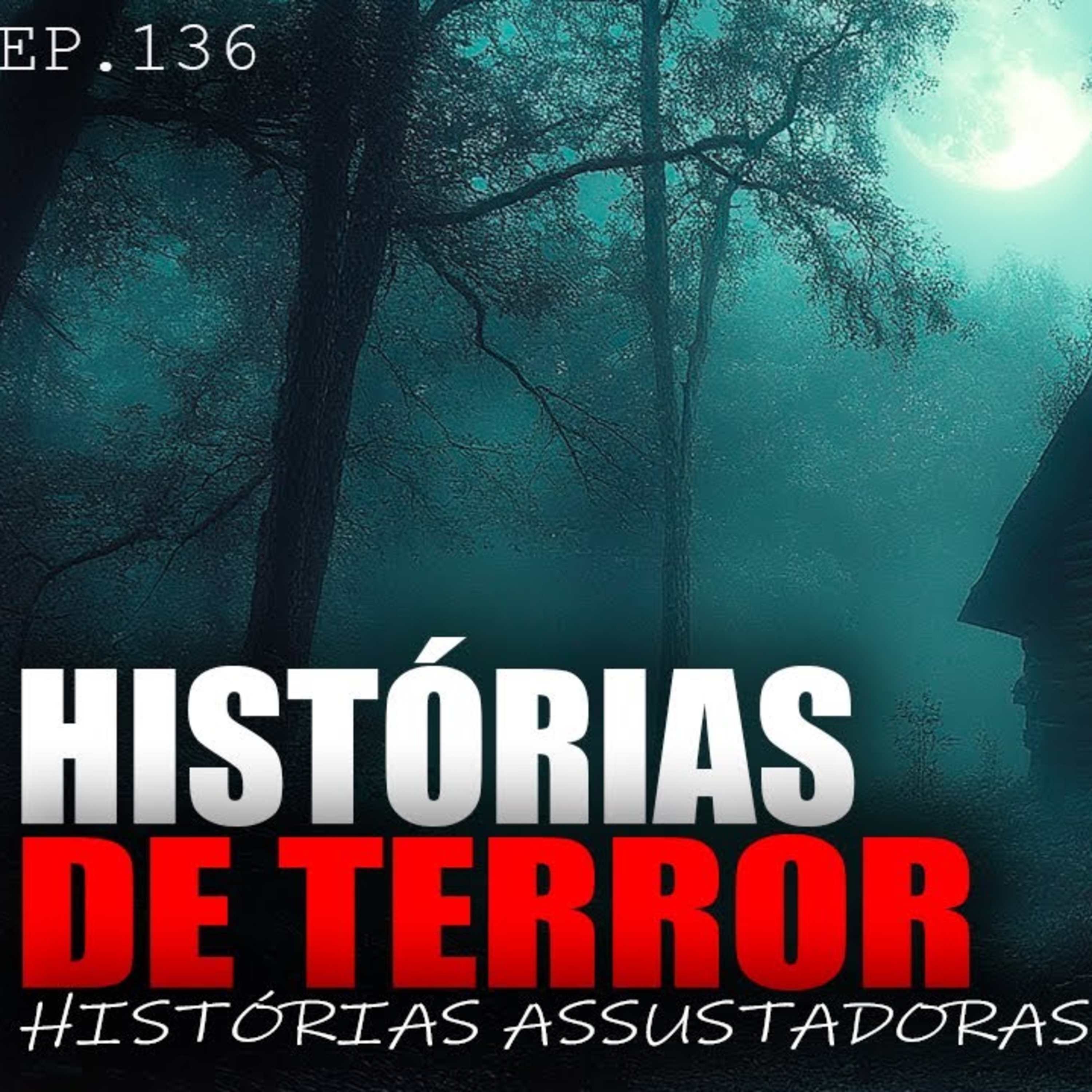 1 HORA DE HISTÓRIAS DE PURO TERROR - HISTÓRIAS ASSUSTADORAS - ep.136 episode artwork