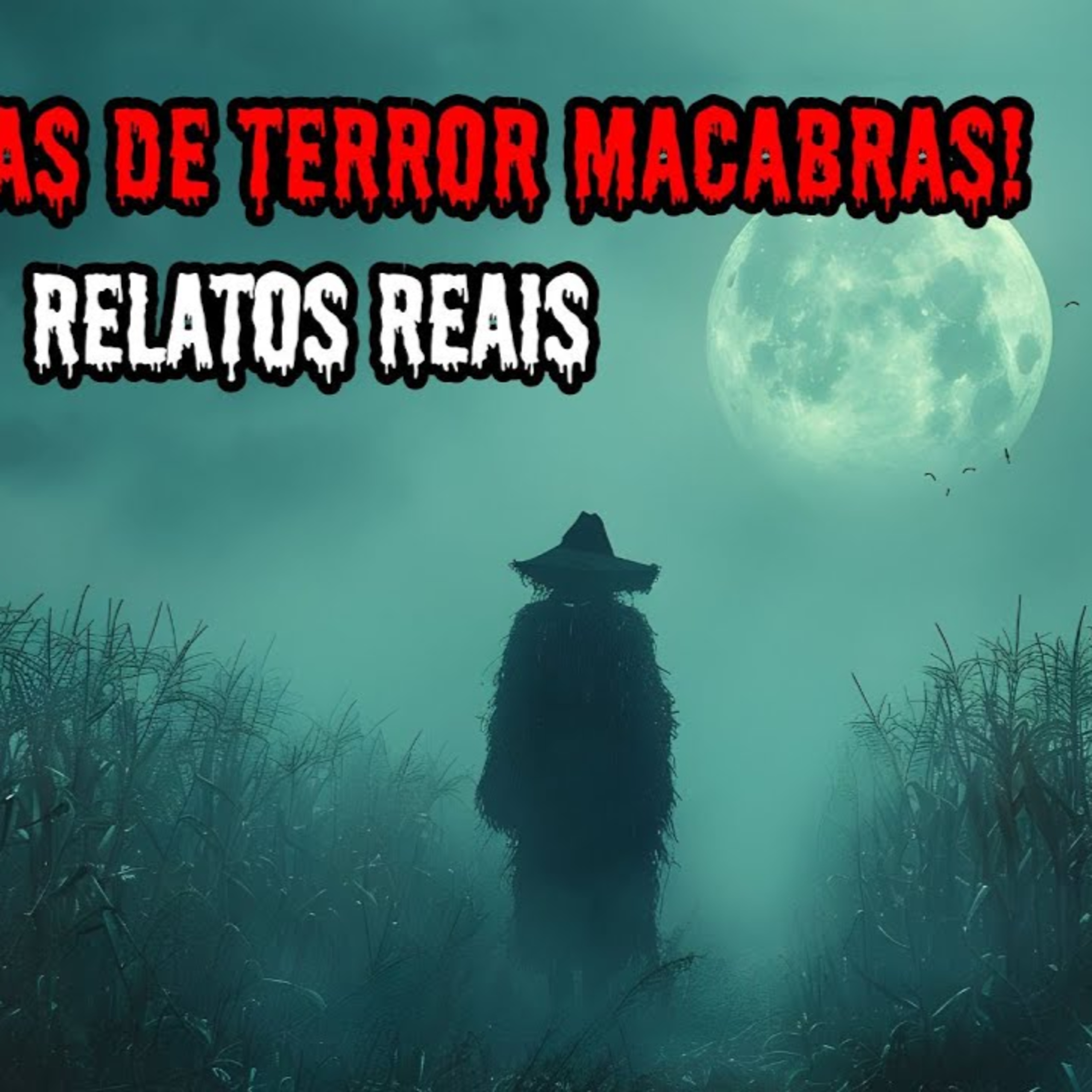 6 HISTÓRIAS DE TERROR MACABRAS - RELATOS REAIS ｜ EP.13 episode artwork