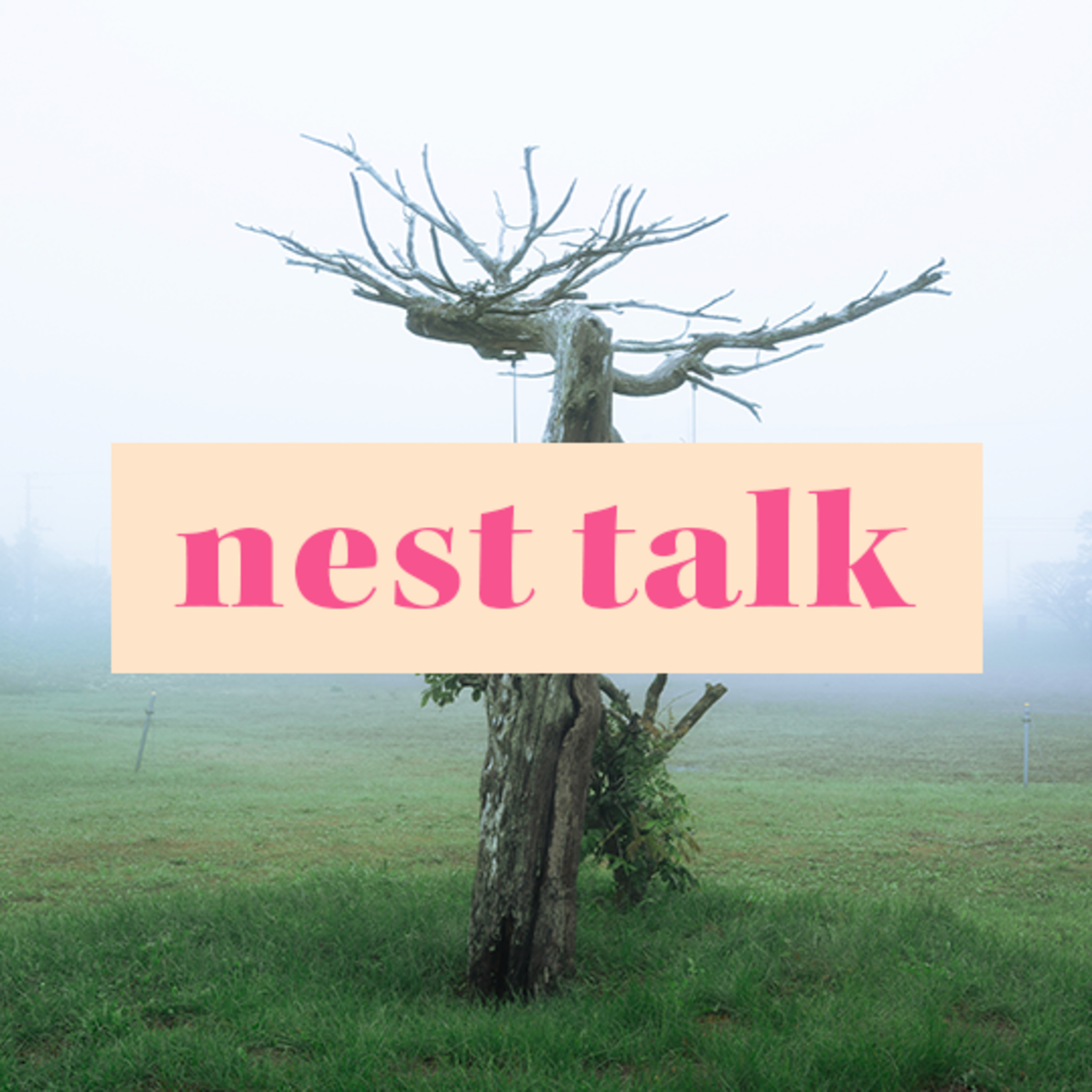 nest talk