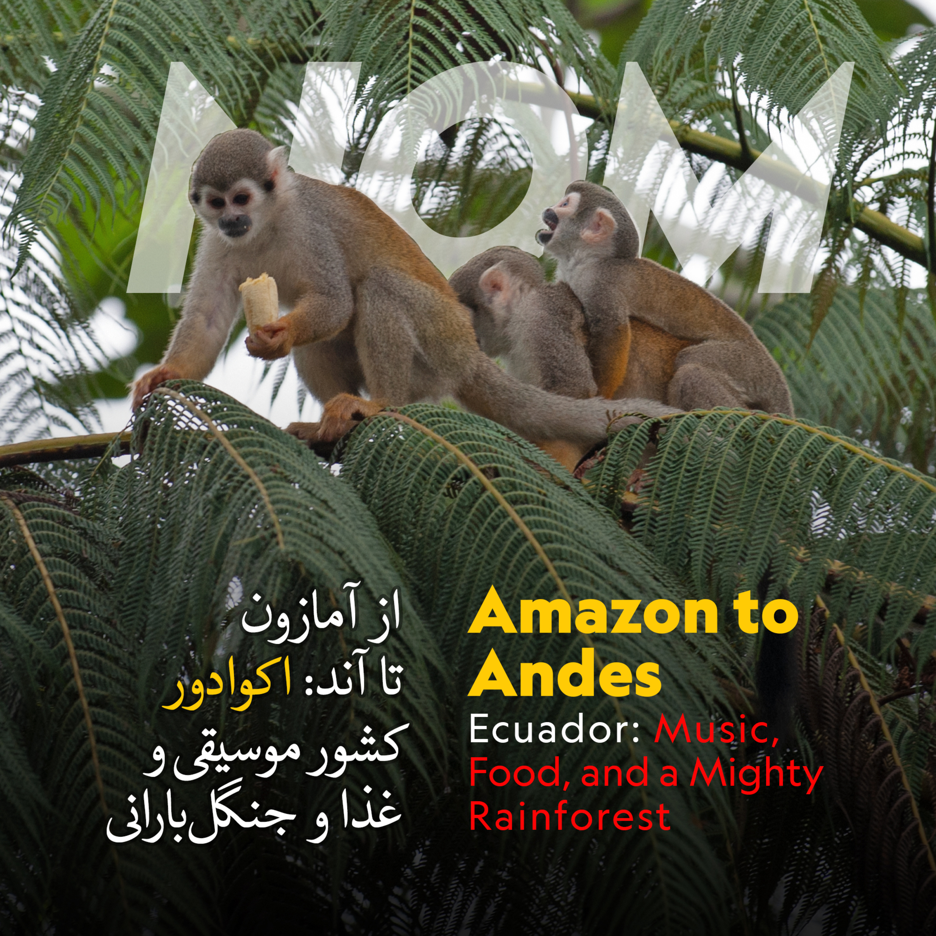 Amazon to Andes, Ecuador | آمازون تا آند، اکوادور