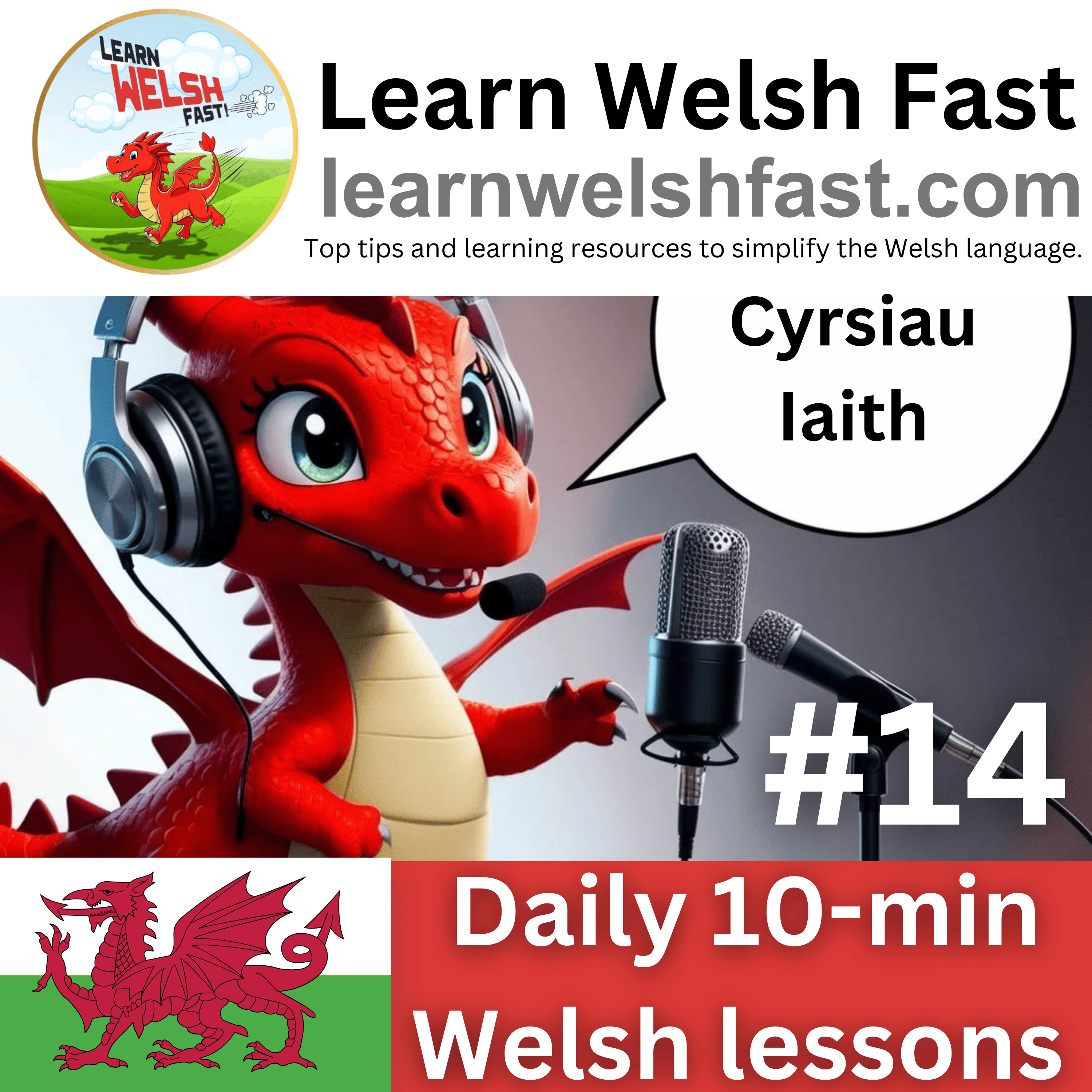 Pennod 14 (Episode 14) - Cyrsiau Iaith (Language Courses)