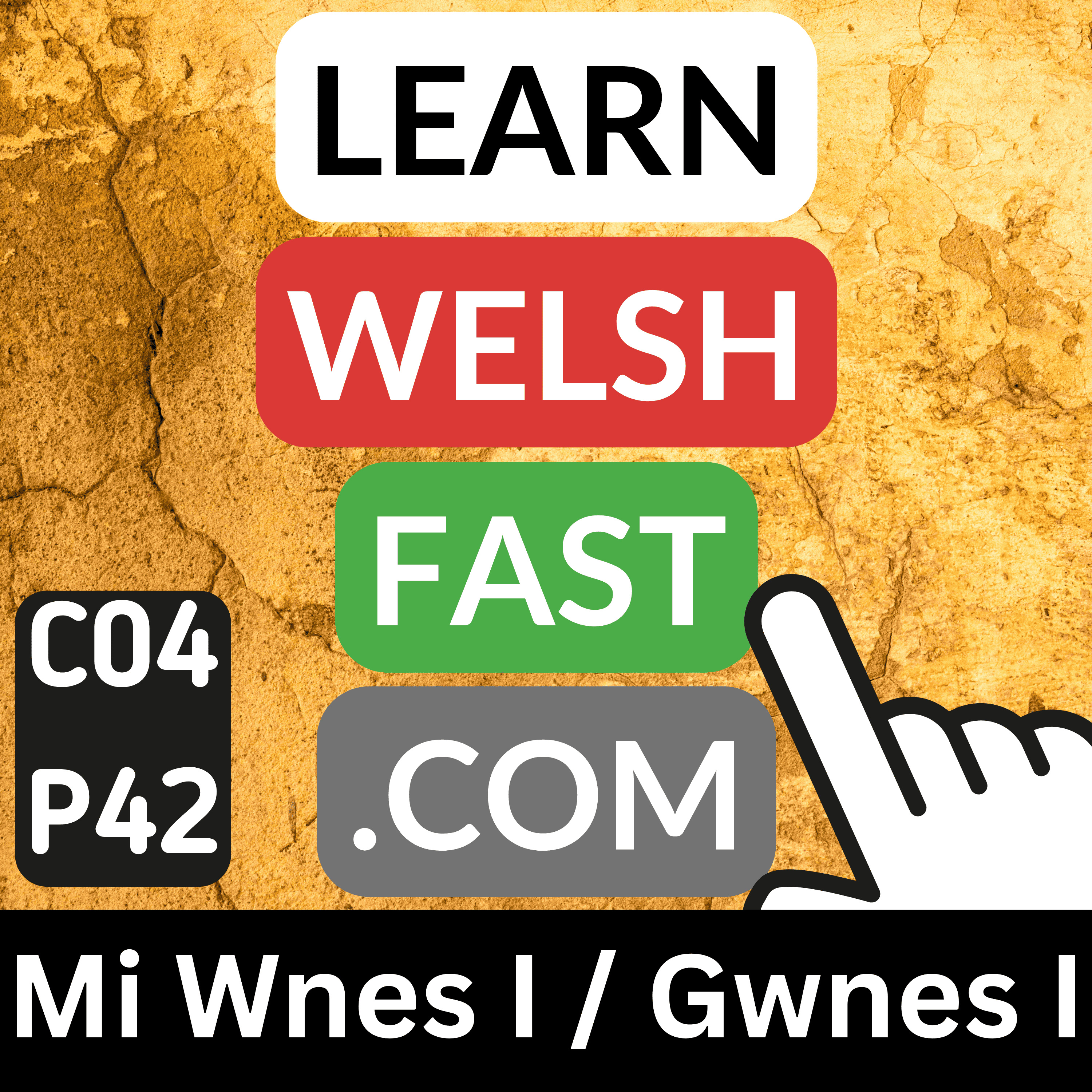 c04p42 (s04e42) - Mi Wnes I / Gwnes i (I Did)