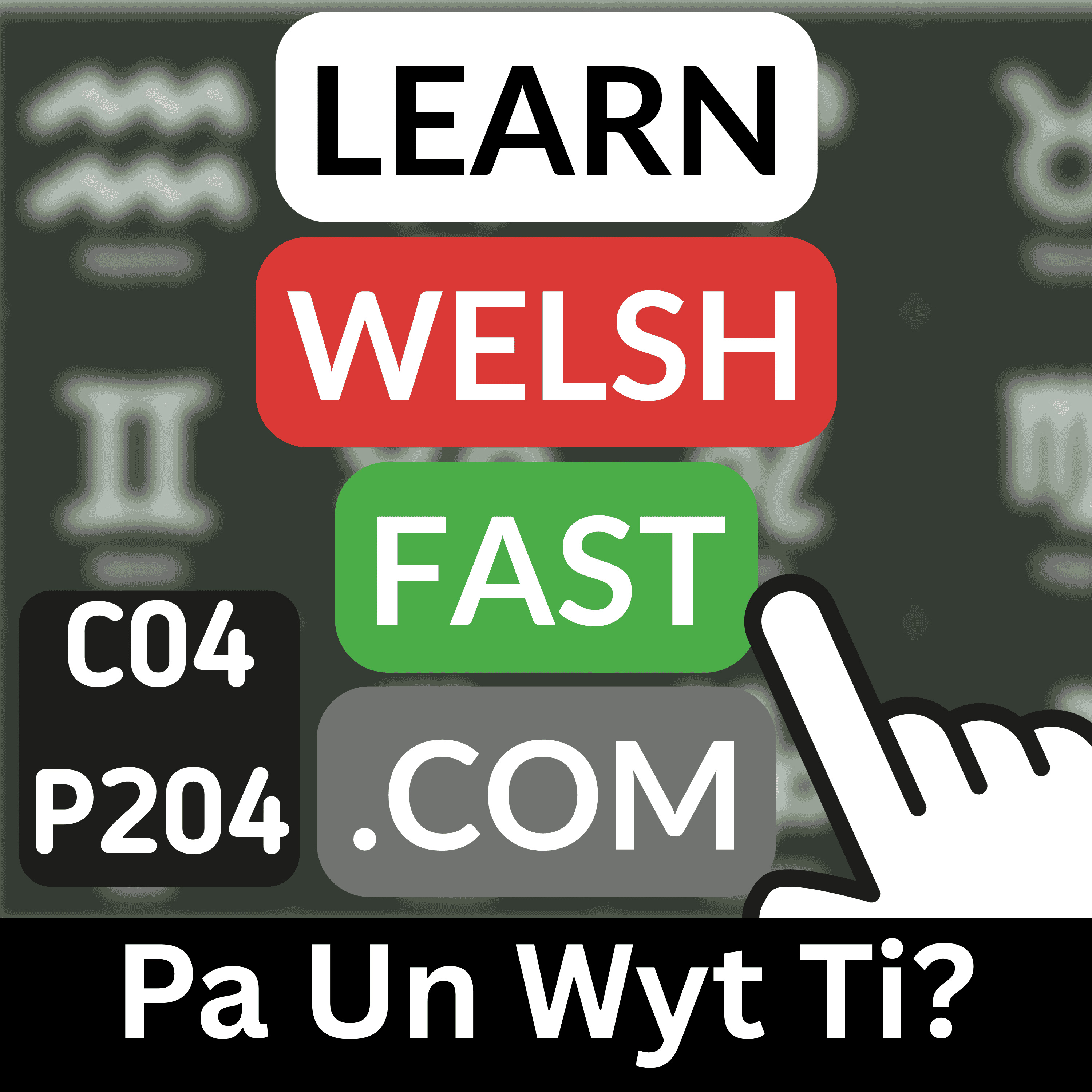 c04p204 (s04e204) - Pa Un Wyt Ti? (Which One Are You?)