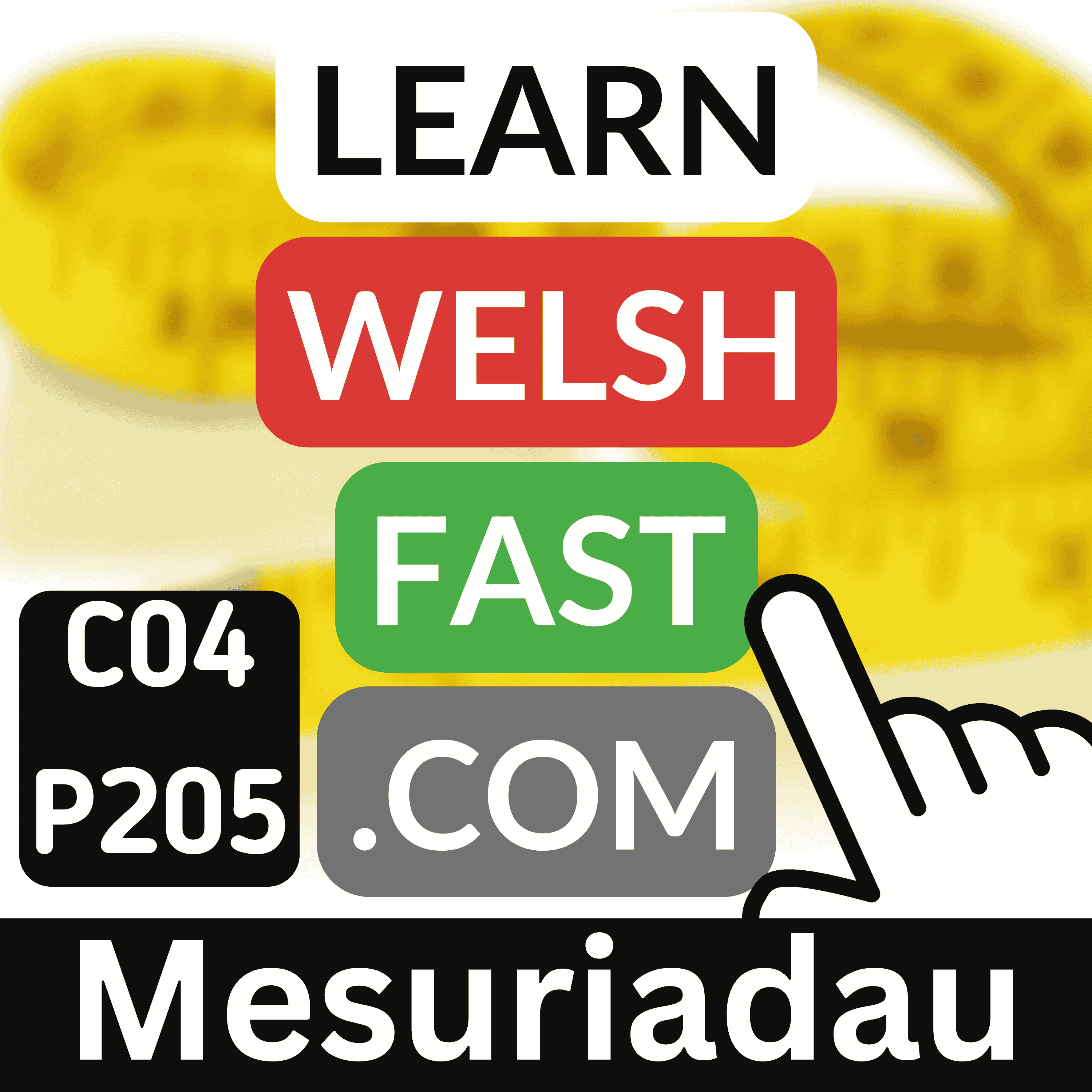 c04p205 (s04e205) - Mesuriadau (Measurements)