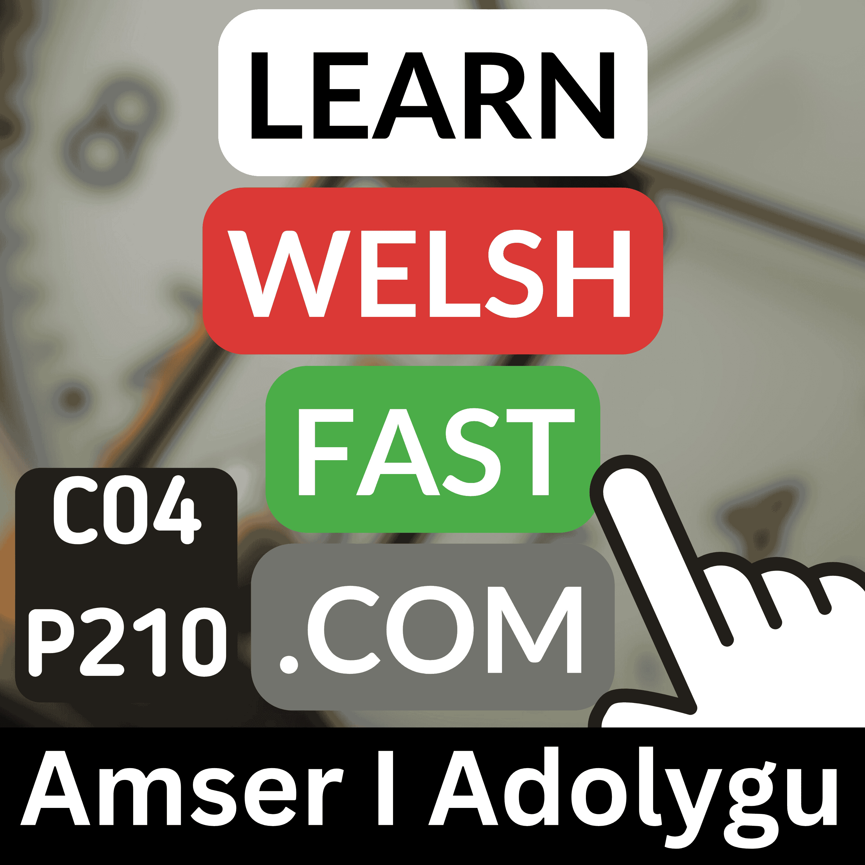 c04p210 (s04e210) - Amser I Adolygu (Time To Revise)