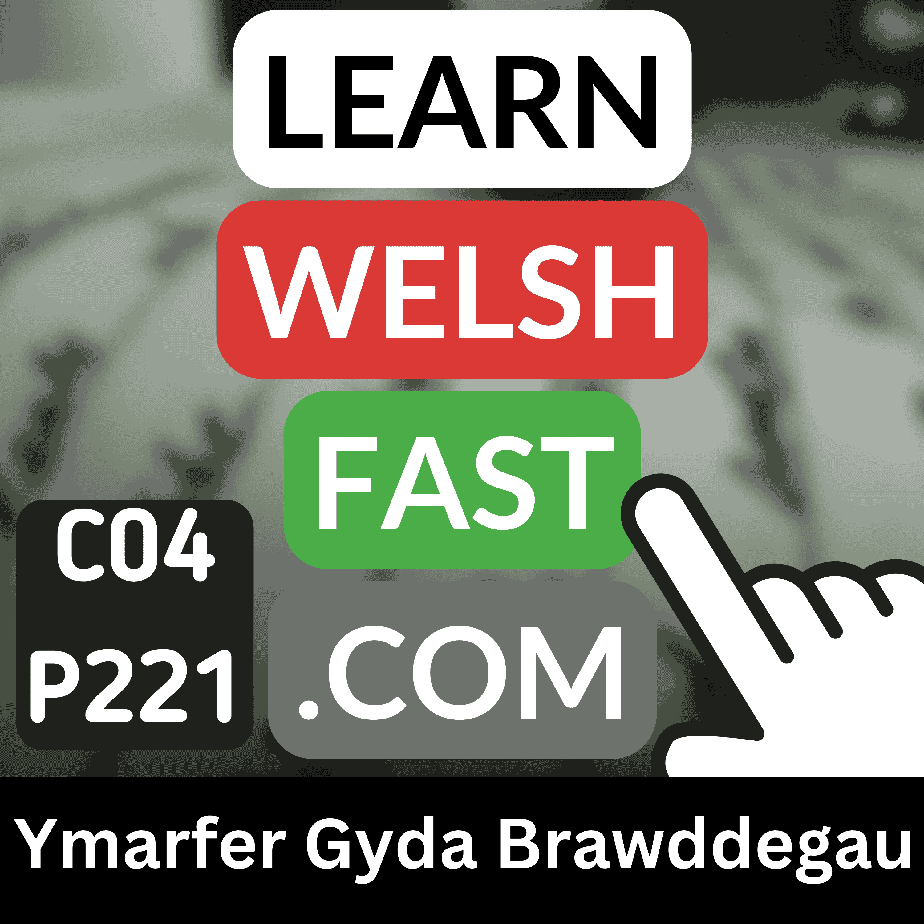 c04p221 (s04e221) - Ymarfer gyda Brawddegau (Practising With Sentences)