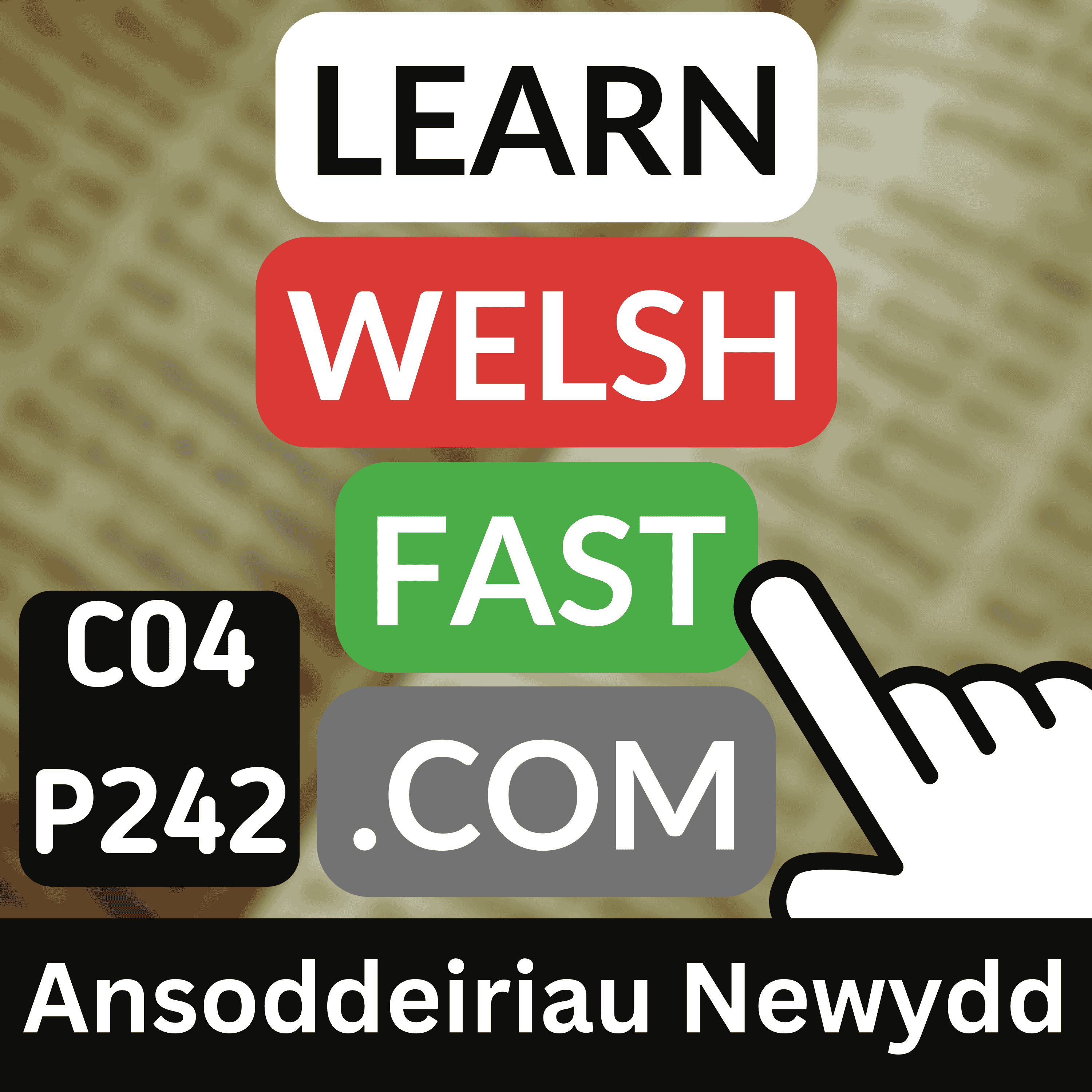 c04p242 (s04e242) - Ansoddeiriau Newydd (New Adjectives)