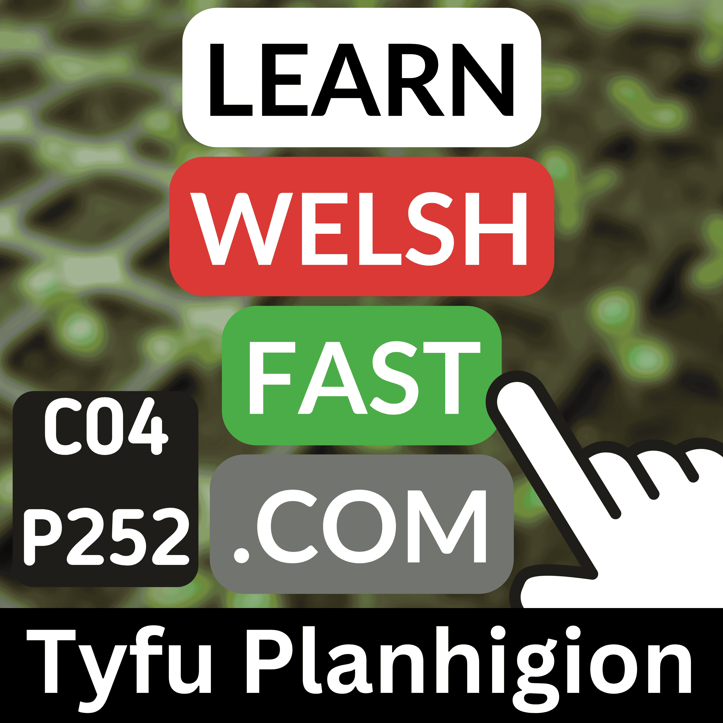 c04e252 (s04e252) - Tyfu Planhigion (Growing Plants)