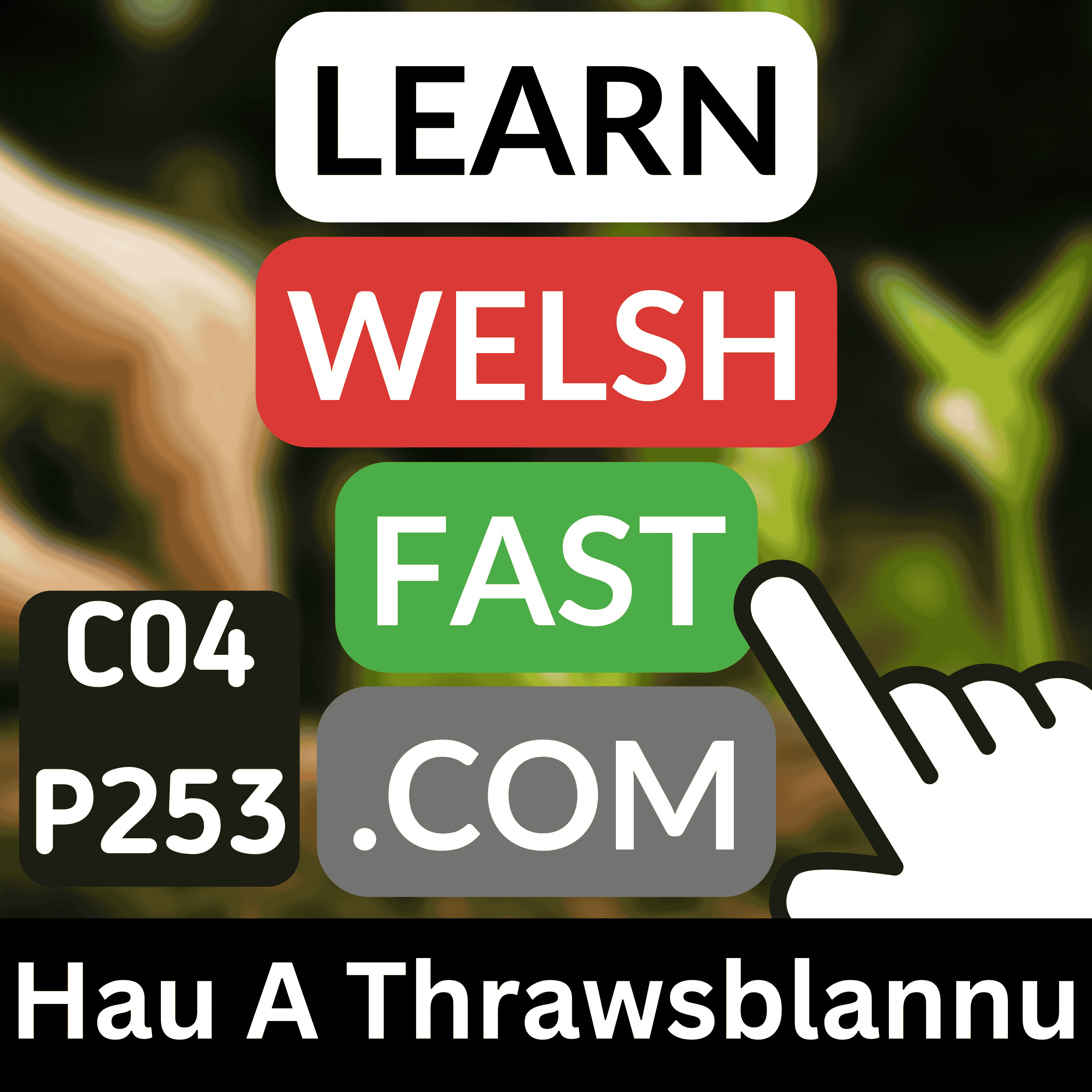 c04p253 (s04e253) - Hau A Thrawsblannu (Sowing And Transplanting)