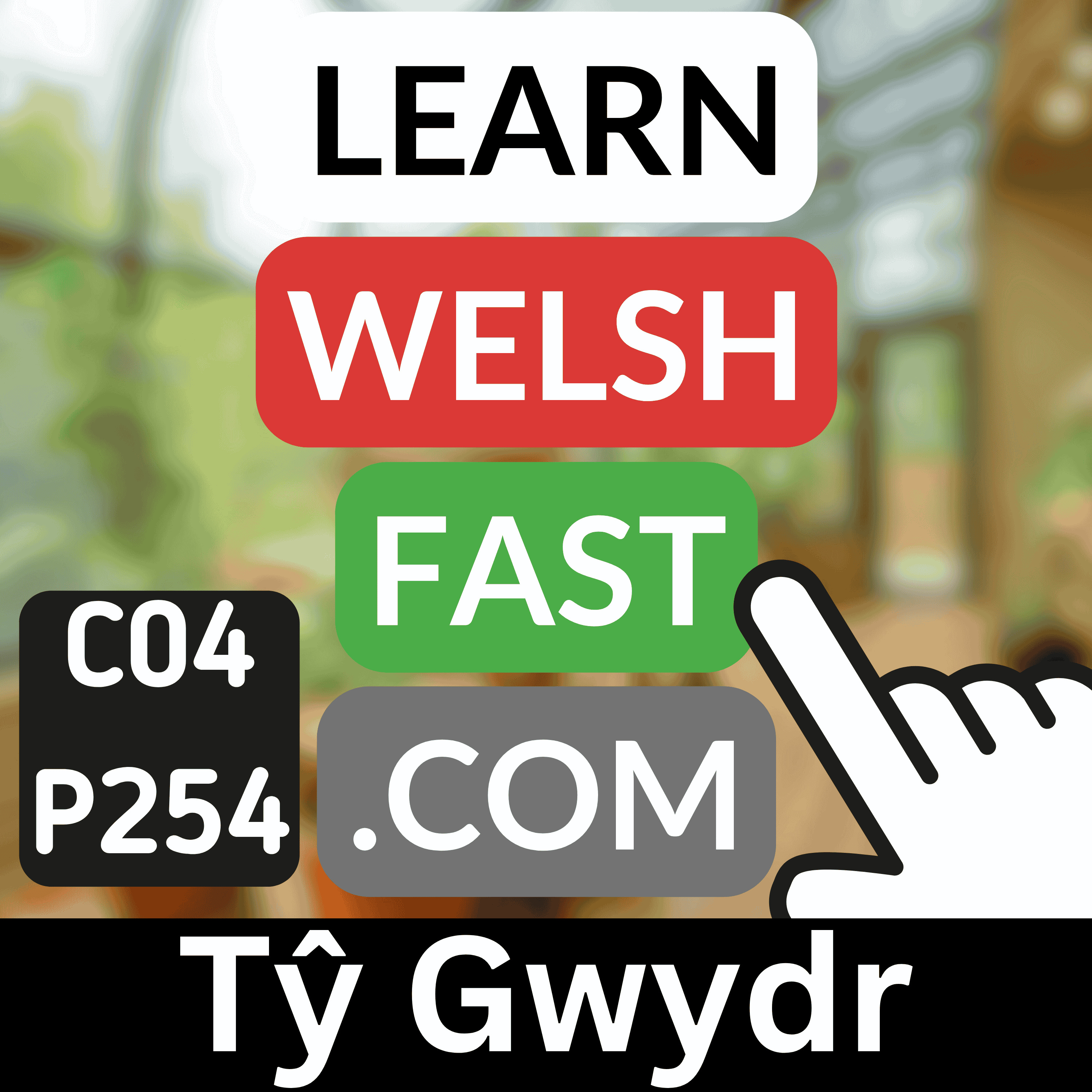 c04p254 (s04e254) - Tŷ Gwydr (Greenhouse)