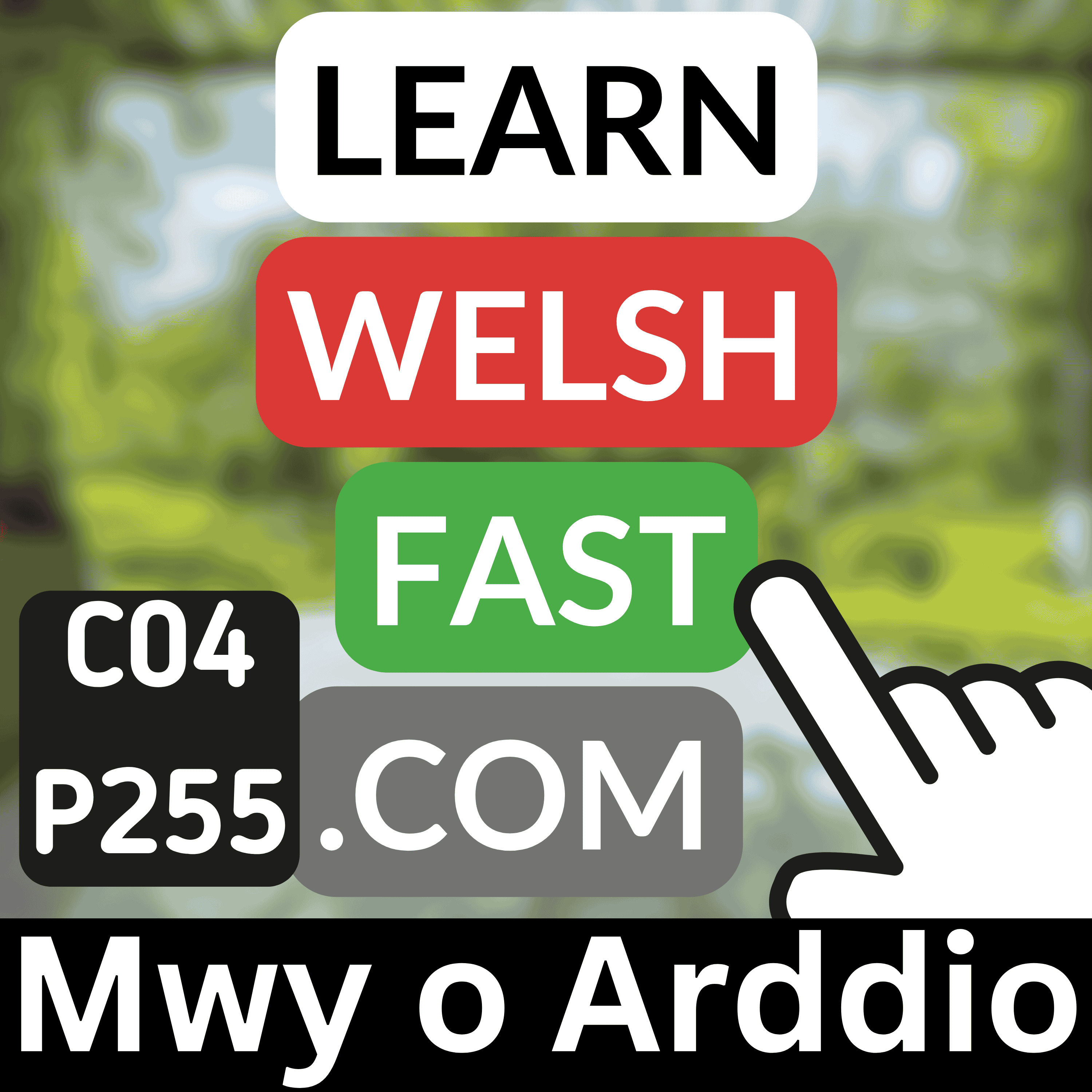 c04p255 (s04e255) - Mwy O Arddio (More Gardening)