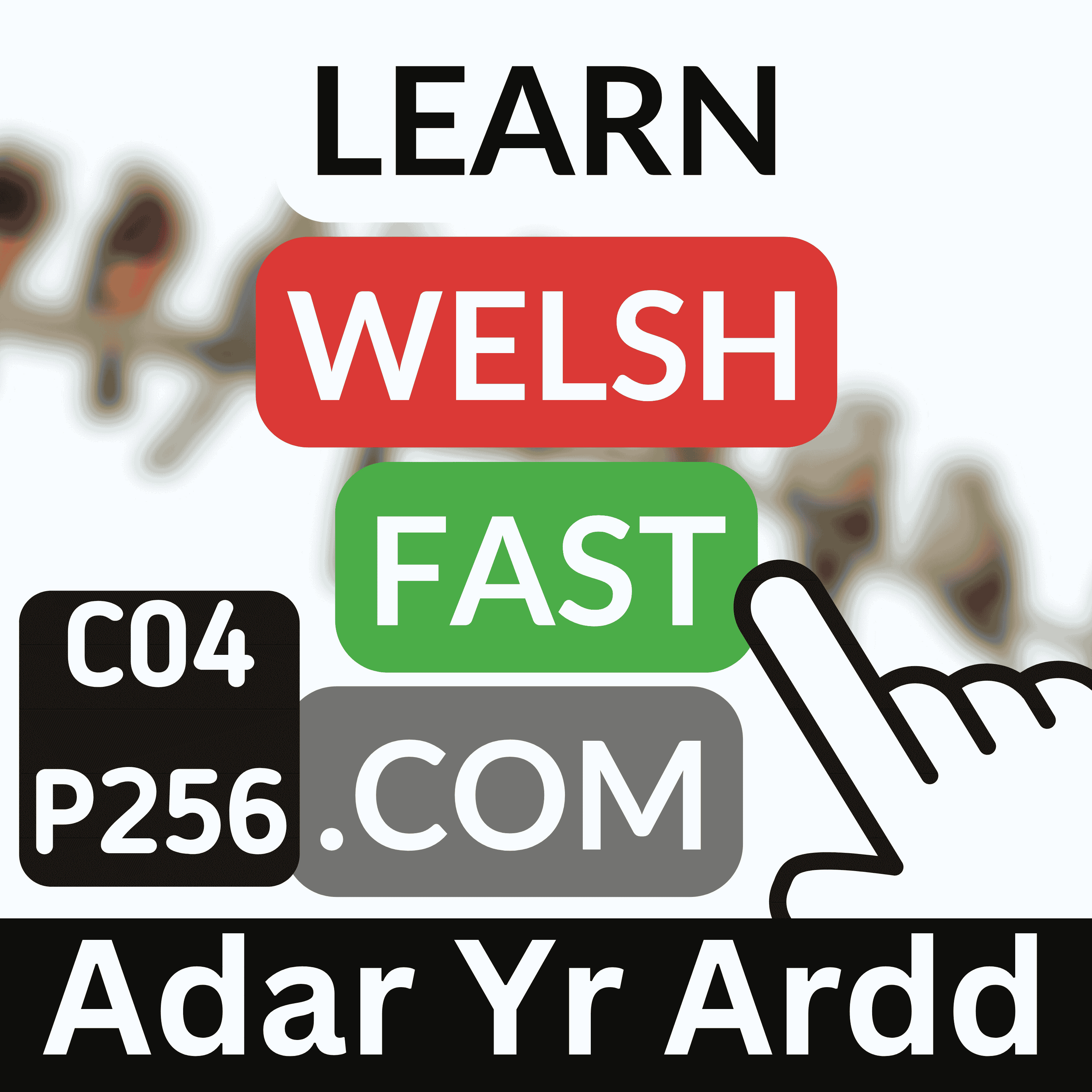 c04p256 (s04e256) - Adar Yr Ardd (Garden Birds)