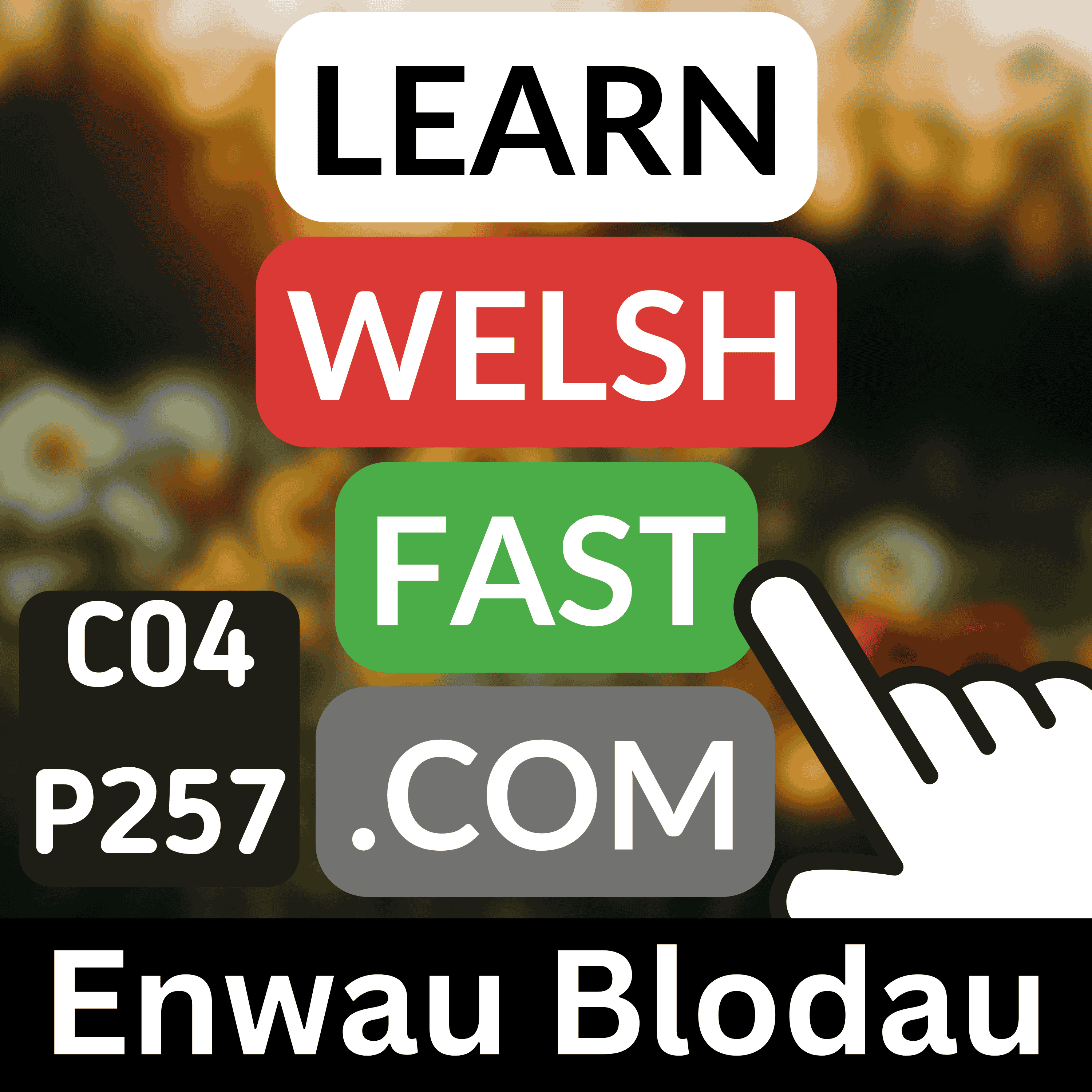 c04p257 (s04e257) - Enwau Blodau (Flower Names)