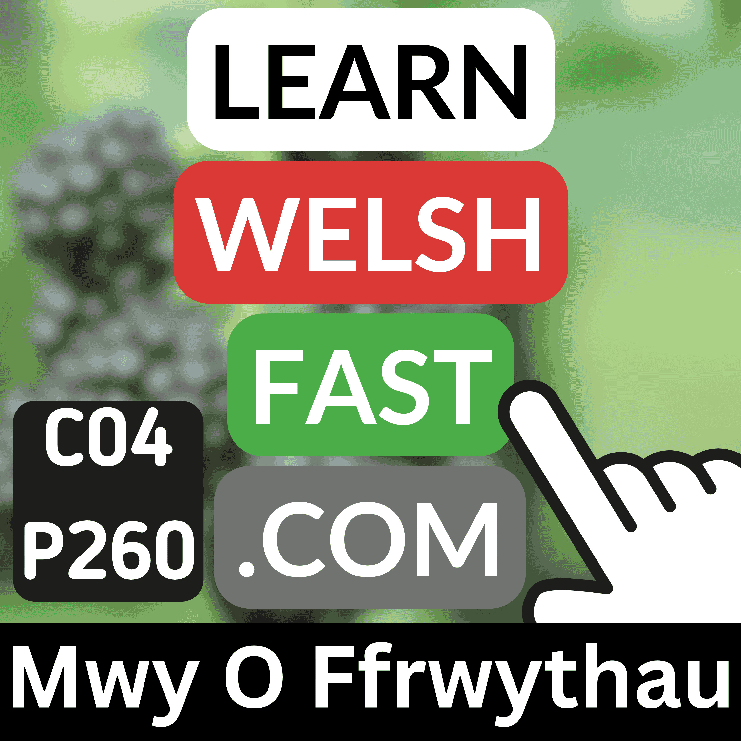 c04p260 (s04e260) - Mwy O Ffrwythau (More Fruit)