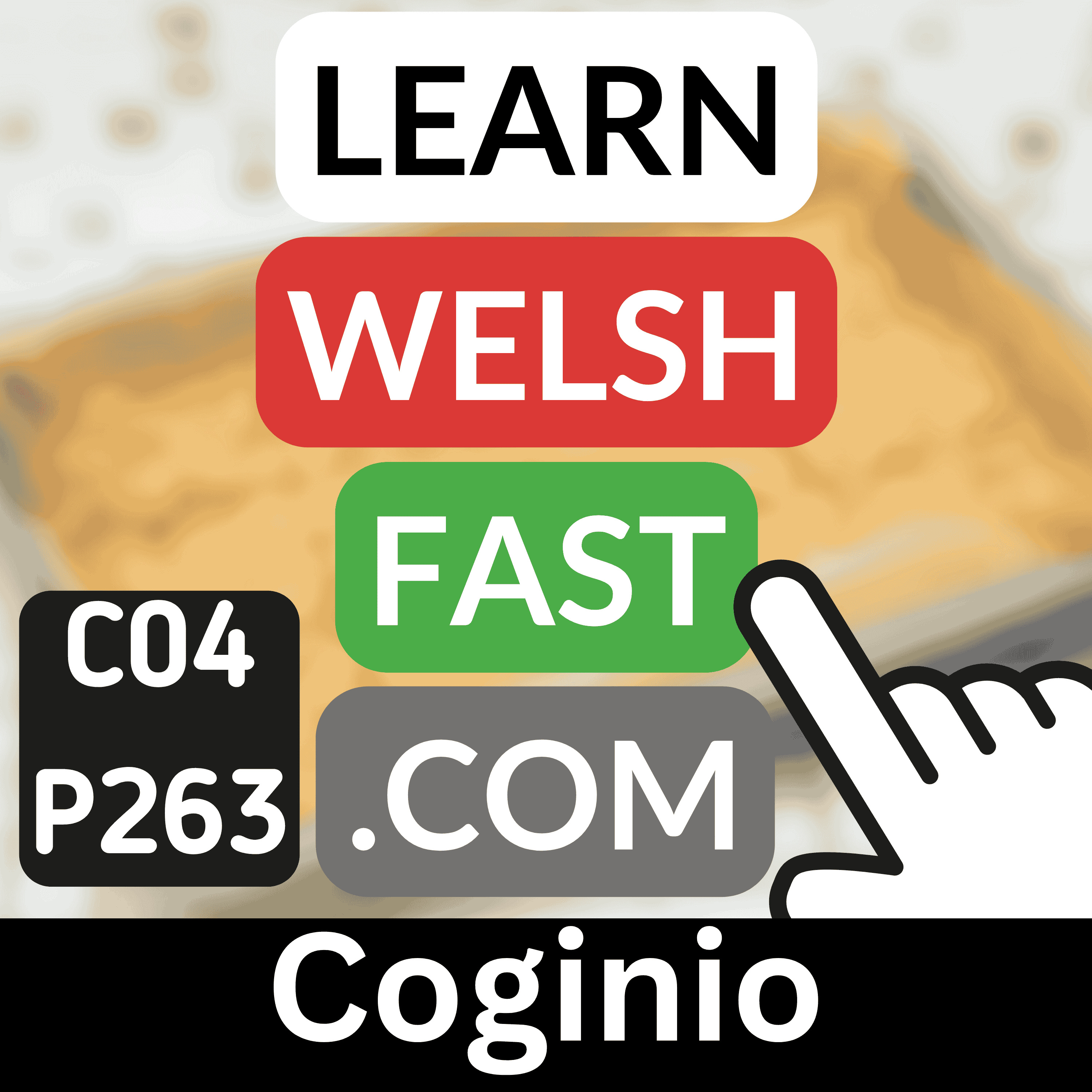 c04p263 (s04e263) - Coginio (Cooking)