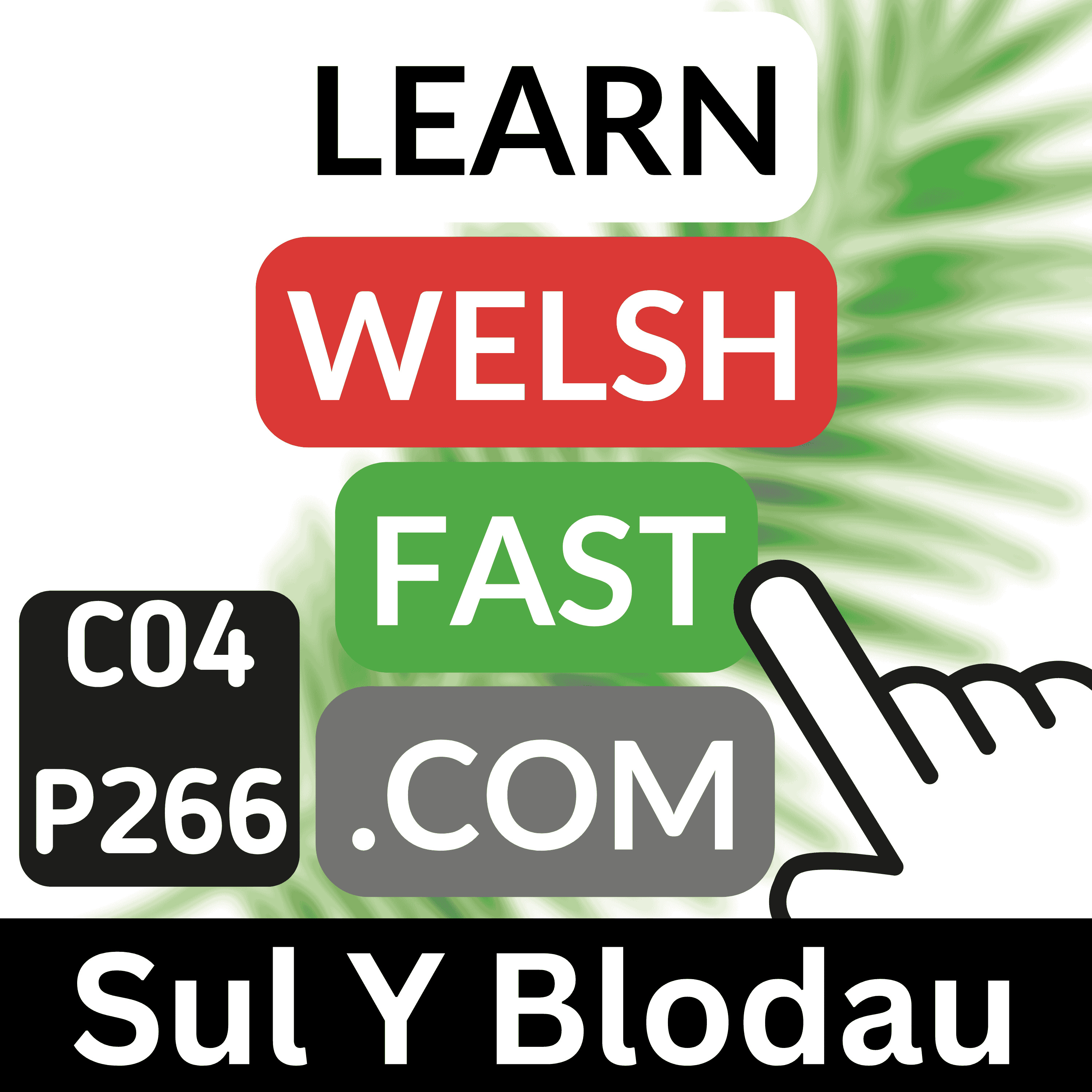 c04p266 (s04e266) - Sul Y Blodau (Palm Sunday)