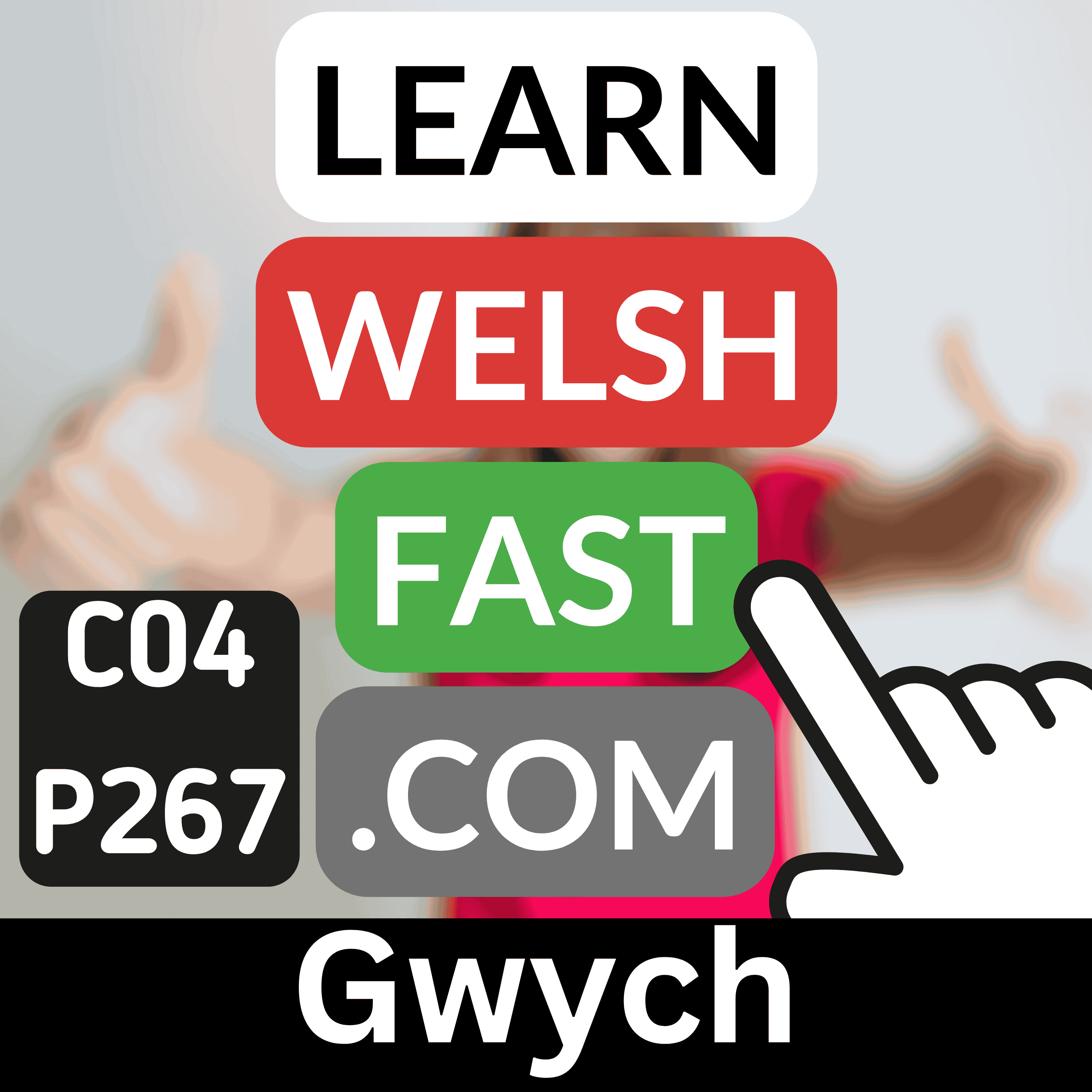 c04p267 (s04e267) - Gwych (Great/Excellent)