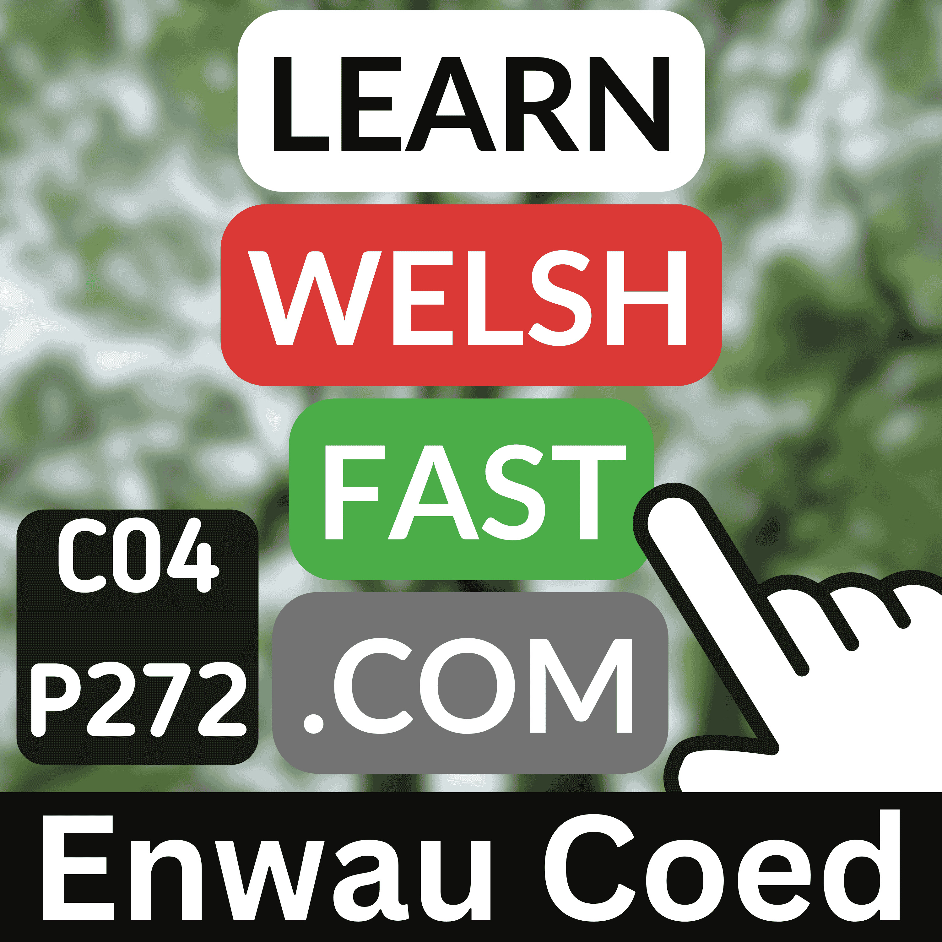c04p272 (s04e272) - Enwau Coed (Tree Names)