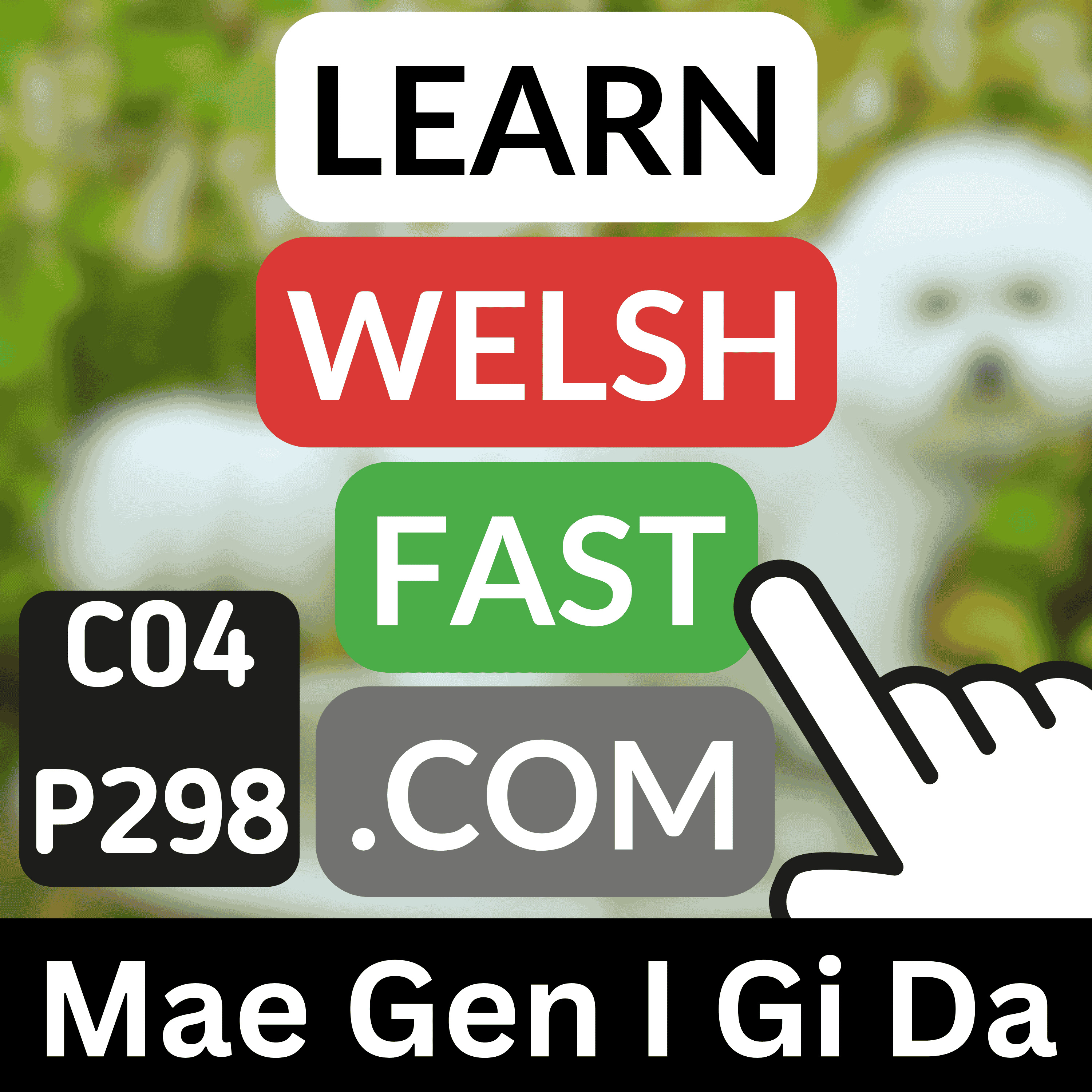 Learn Welsh Vocabulary: Mae Gen I Gi Da | Welsh I Have A Good Dog Words & Phrases (Ep 298)