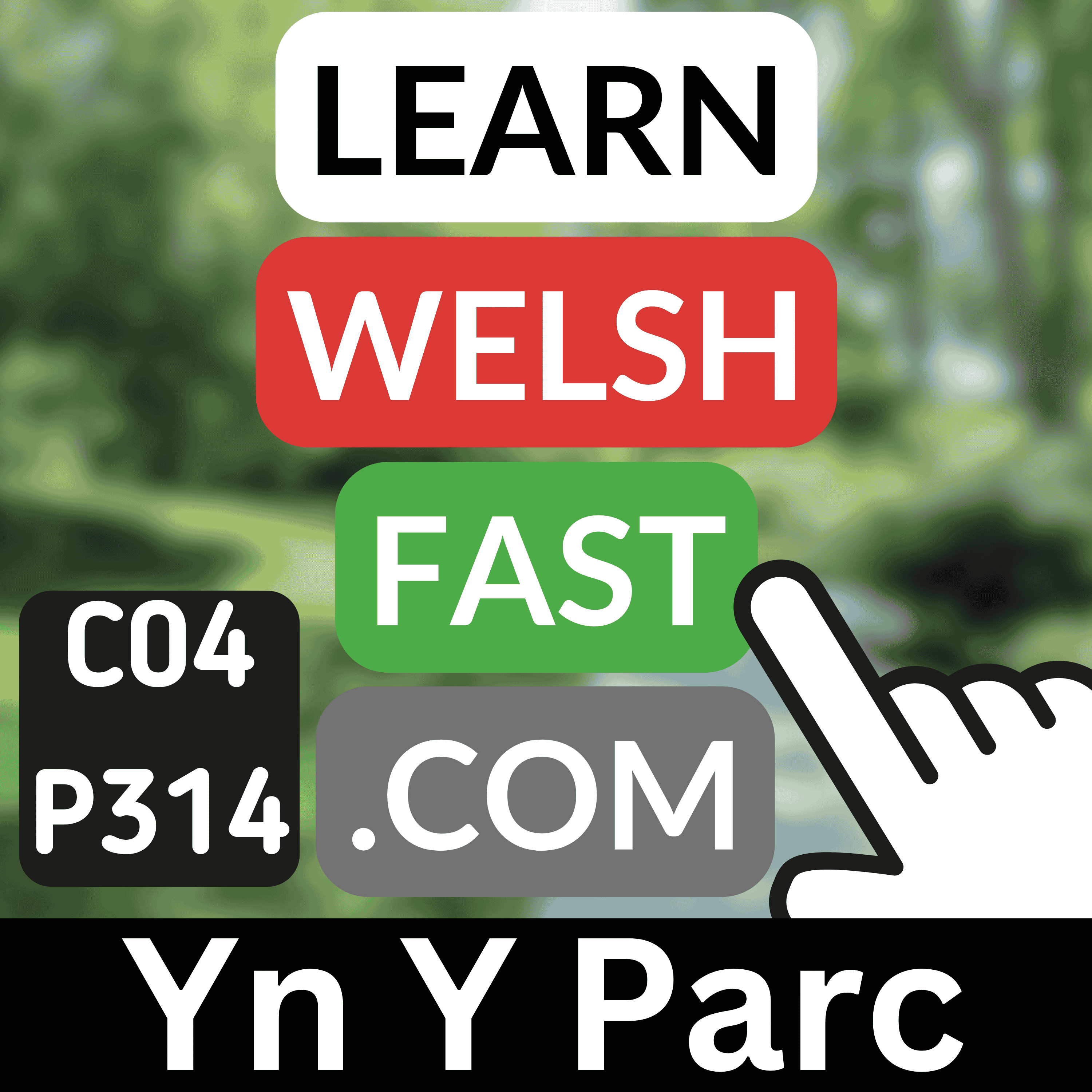 Learn Welsh Vocabulary: Yn Y Parc | Welsh At The Park Words & Phrases (Ep 314)