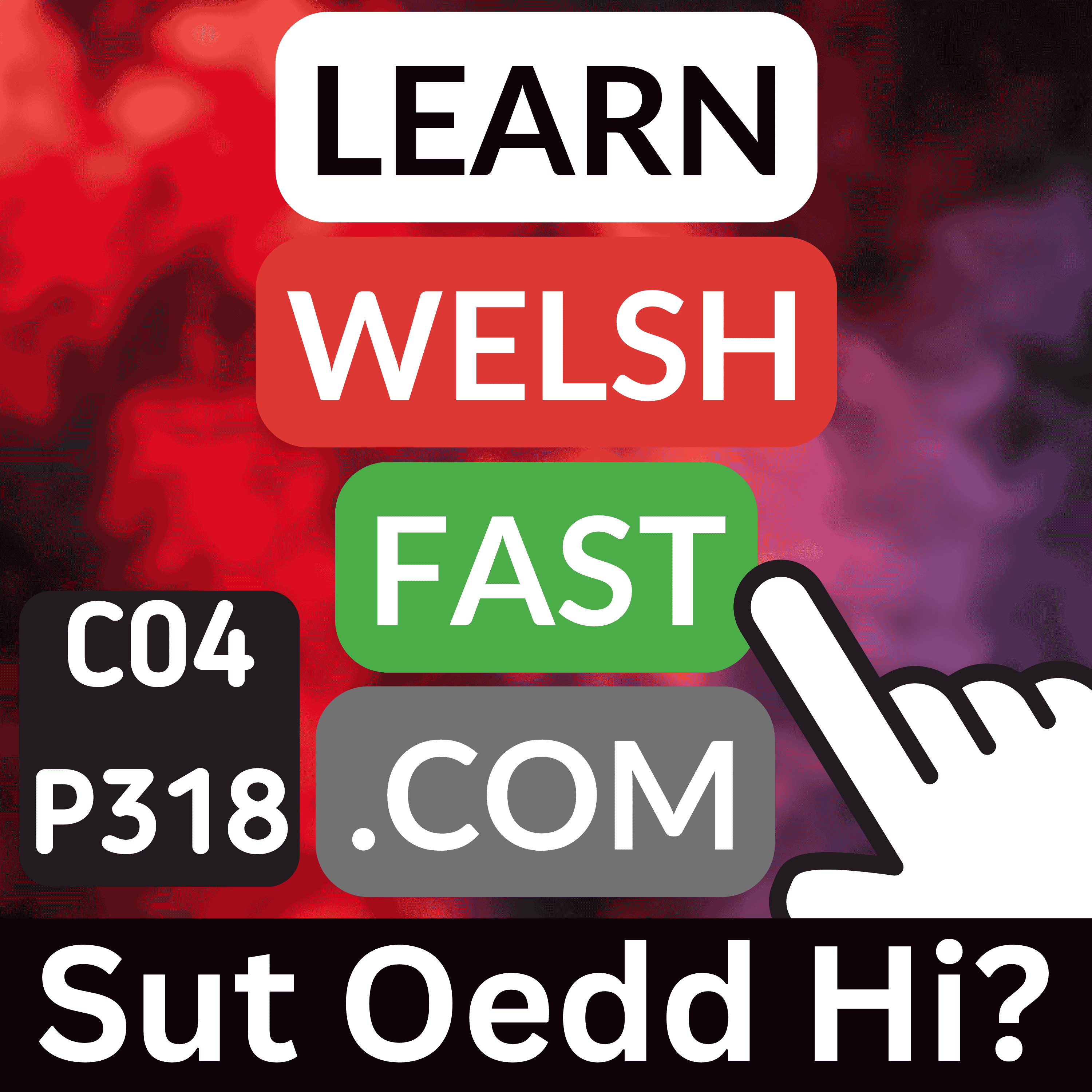 Learn Welsh Vocabulary: Sut Oedd Hi? | Welsh How Was It? Words & Phrases (Ep 318)