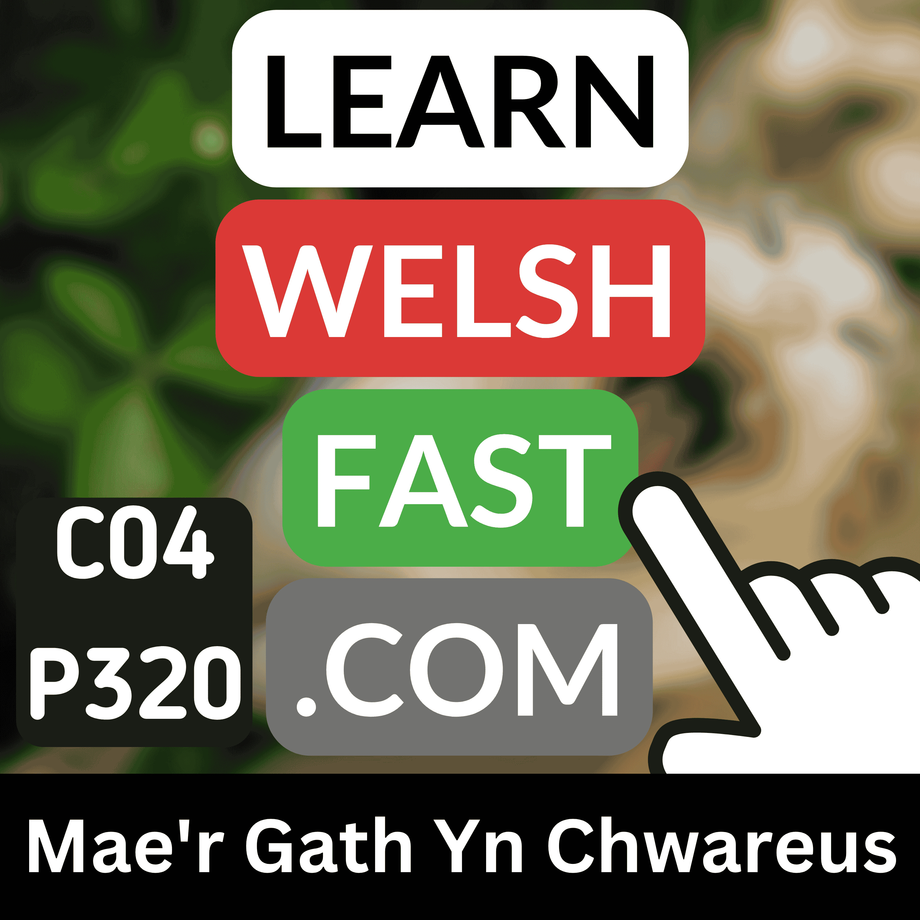 Learn Welsh Vocabulary: Mae'r Gath Yn Chwareus | Welsh The Cat is Playful Words & Phrases (Ep 320)