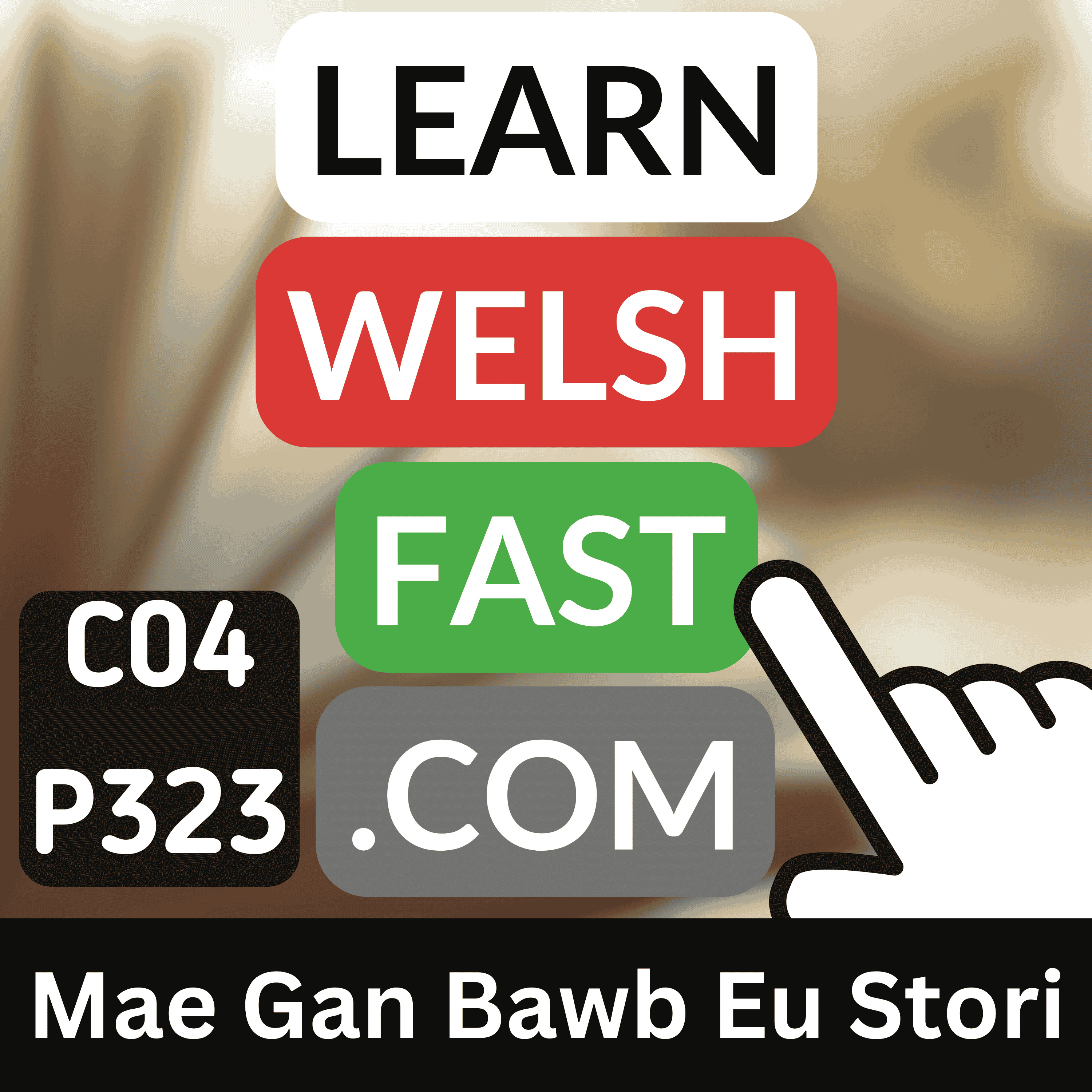 Learn Welsh Vocabulary: Mae Gan Bawb Eu Stori | Welsh Everyone Has Their Story Words & Phrases (Ep 323)