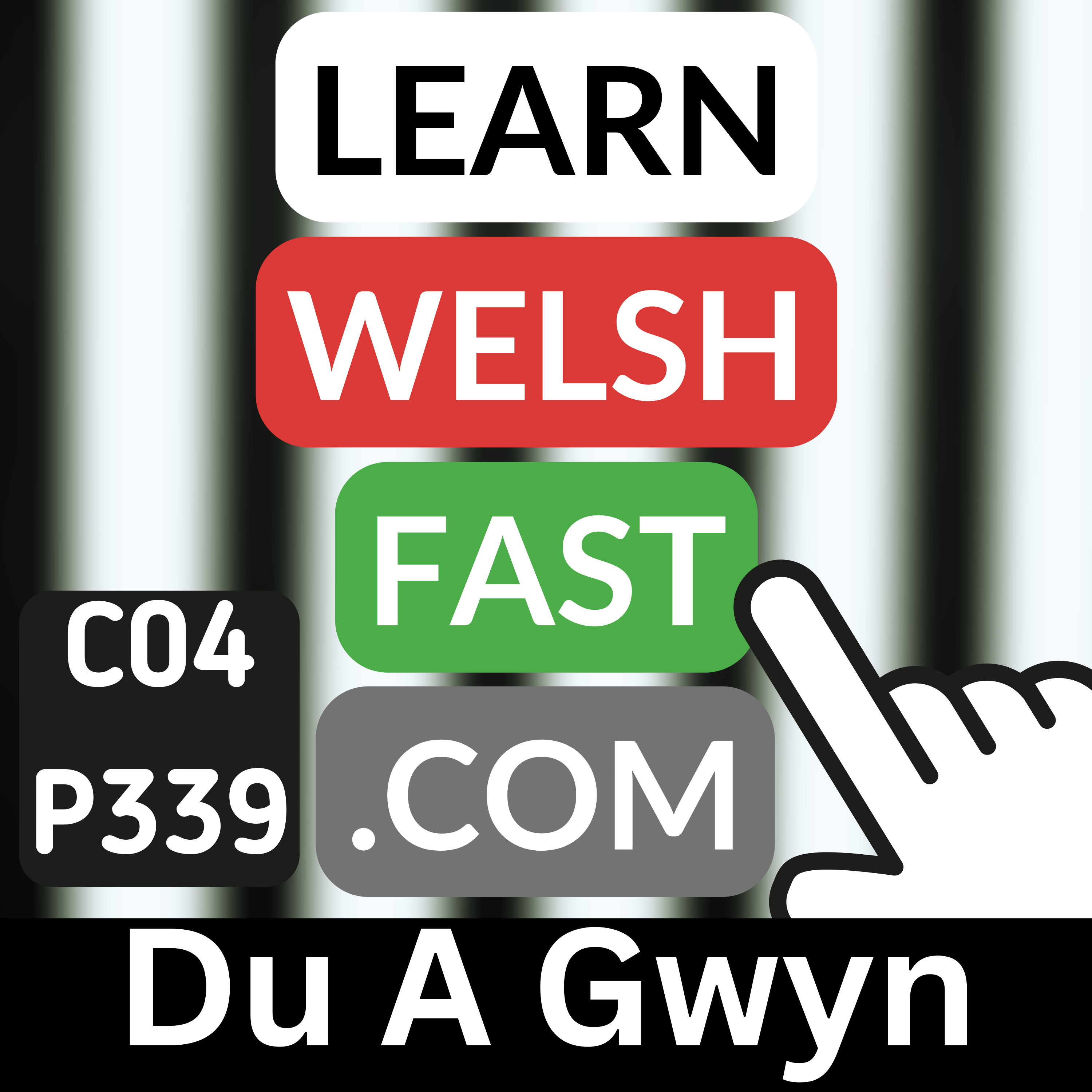 Learn Welsh Vocabulary: Du A Gwyn (Black And White) (Ep 339)