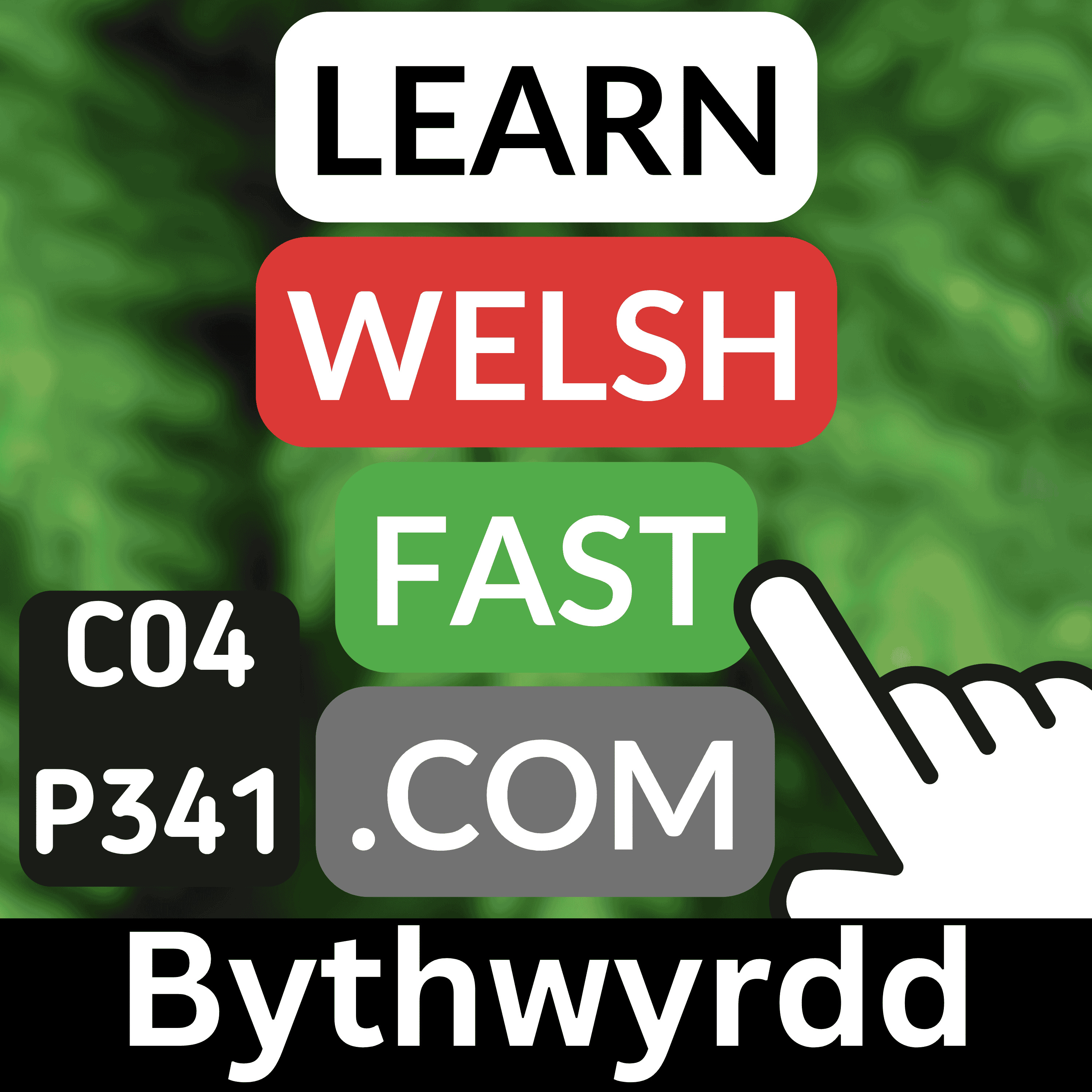 Learn Welsh Vocabulary: Bythwyrdd (Evergreen) (Ep 341)