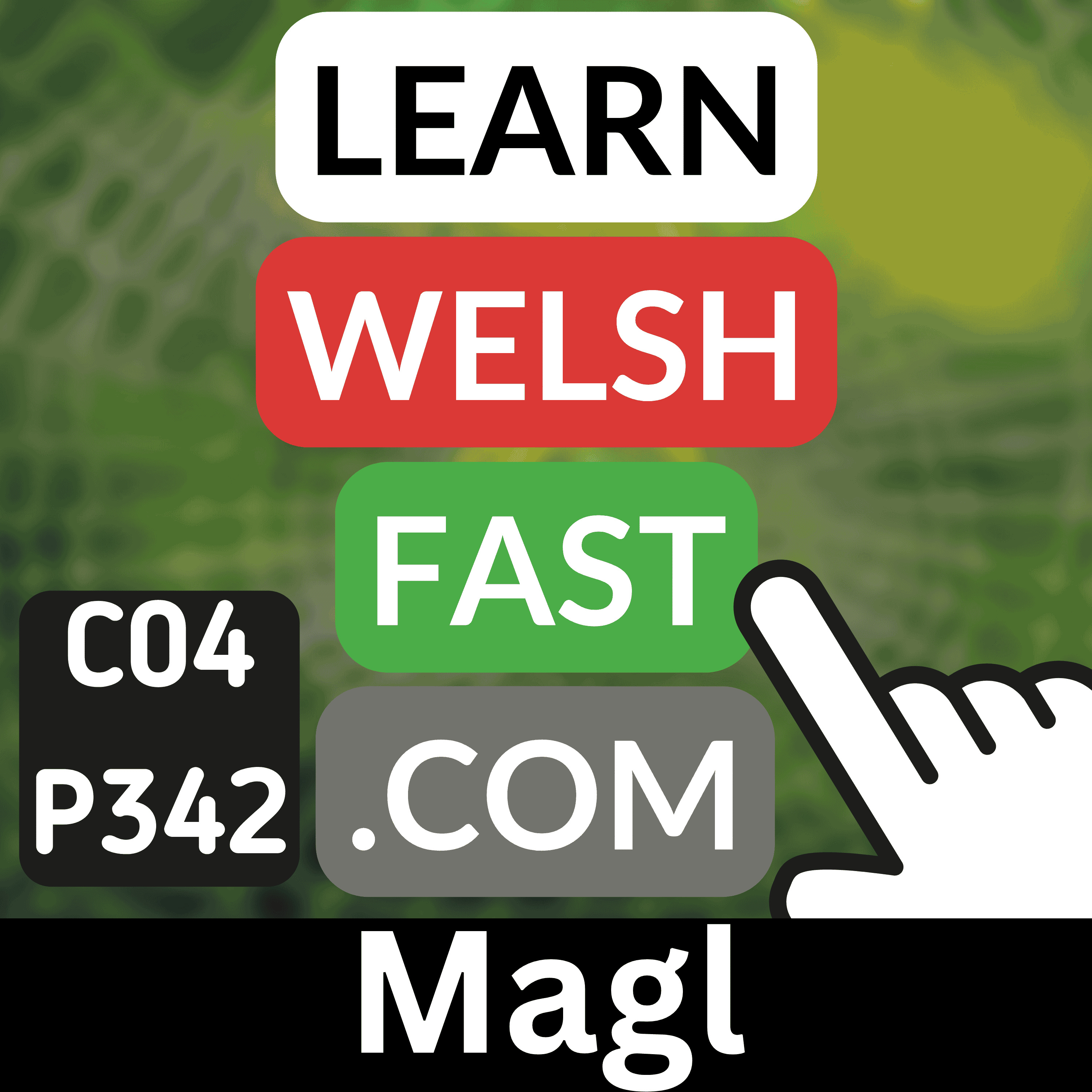Learn Welsh Vocabulary: Magl (Trap/Snare) (Ep 342)