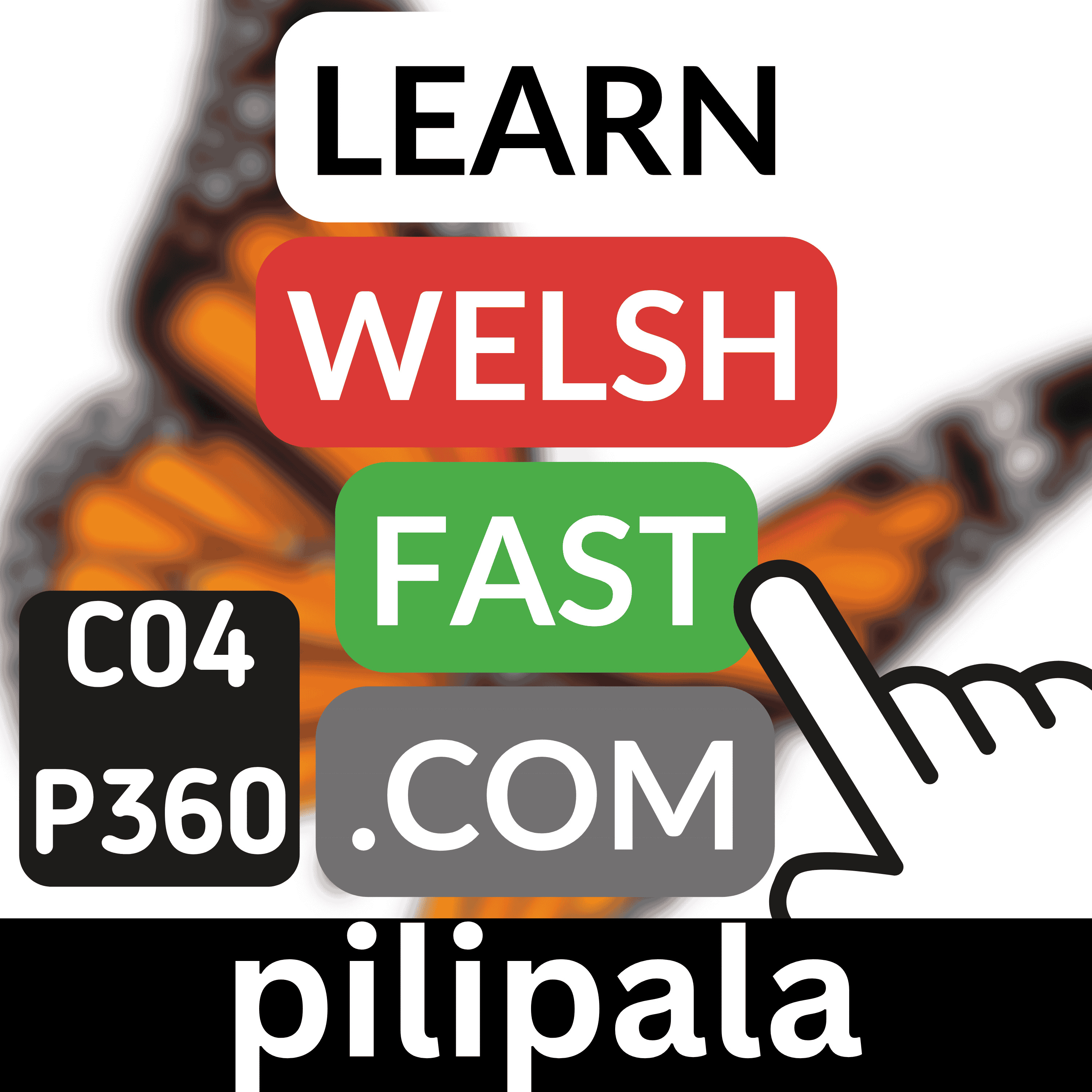Learn Welsh Vocabulary: Pilipala (Butterfly) (Ep 360)