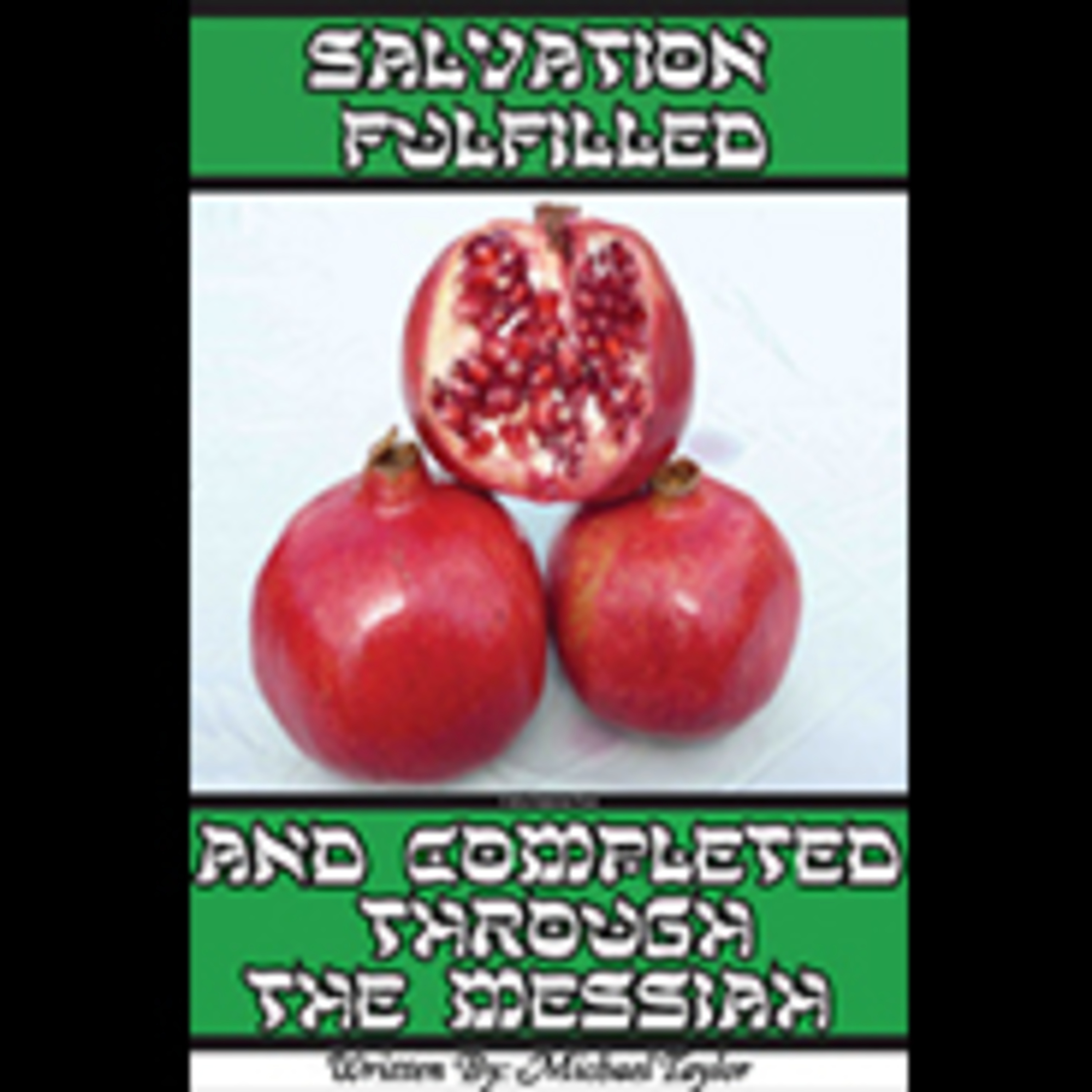 Salvation Chapter 1 episode artwork