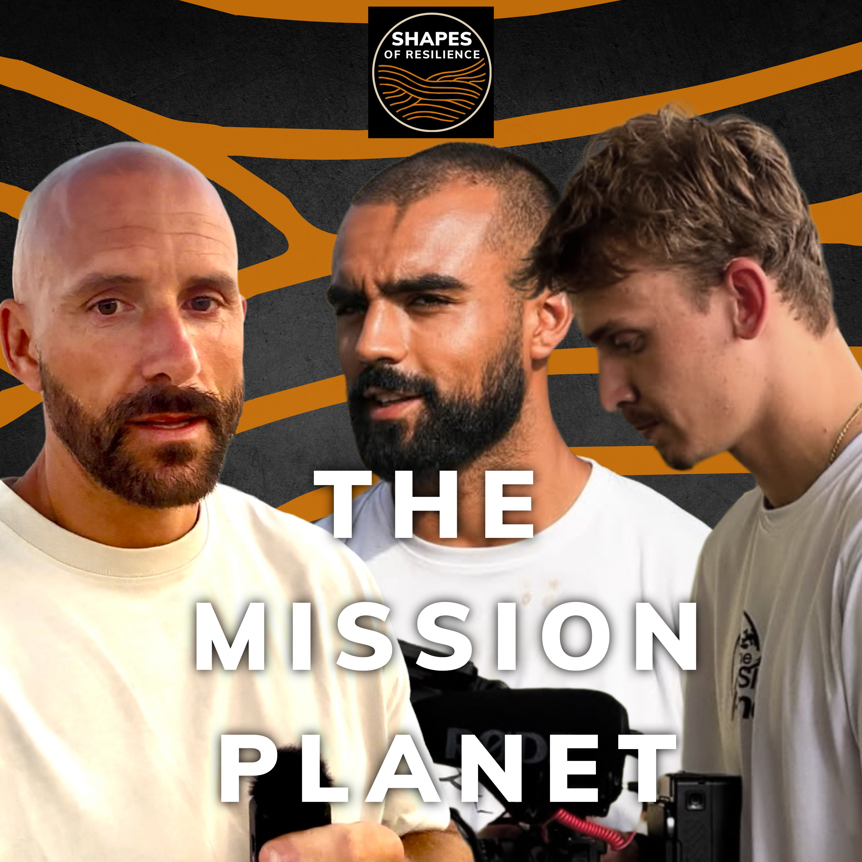 Shapes of Resilience