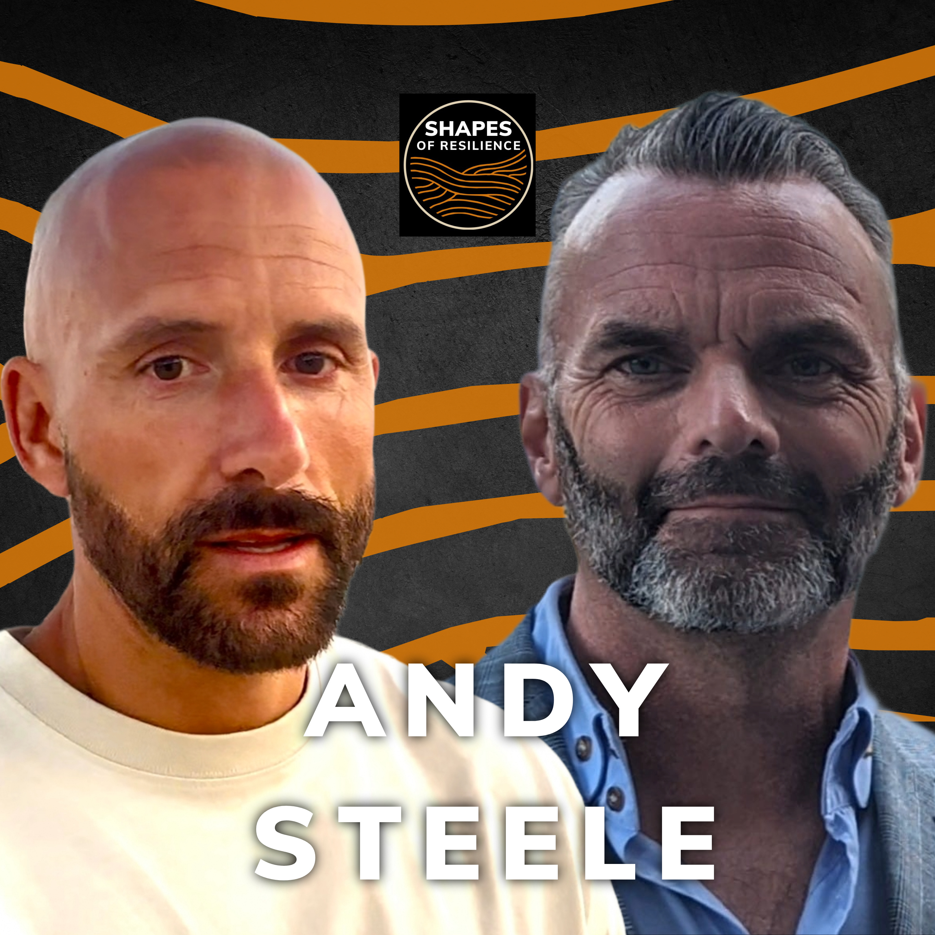 Shapes of Resilience