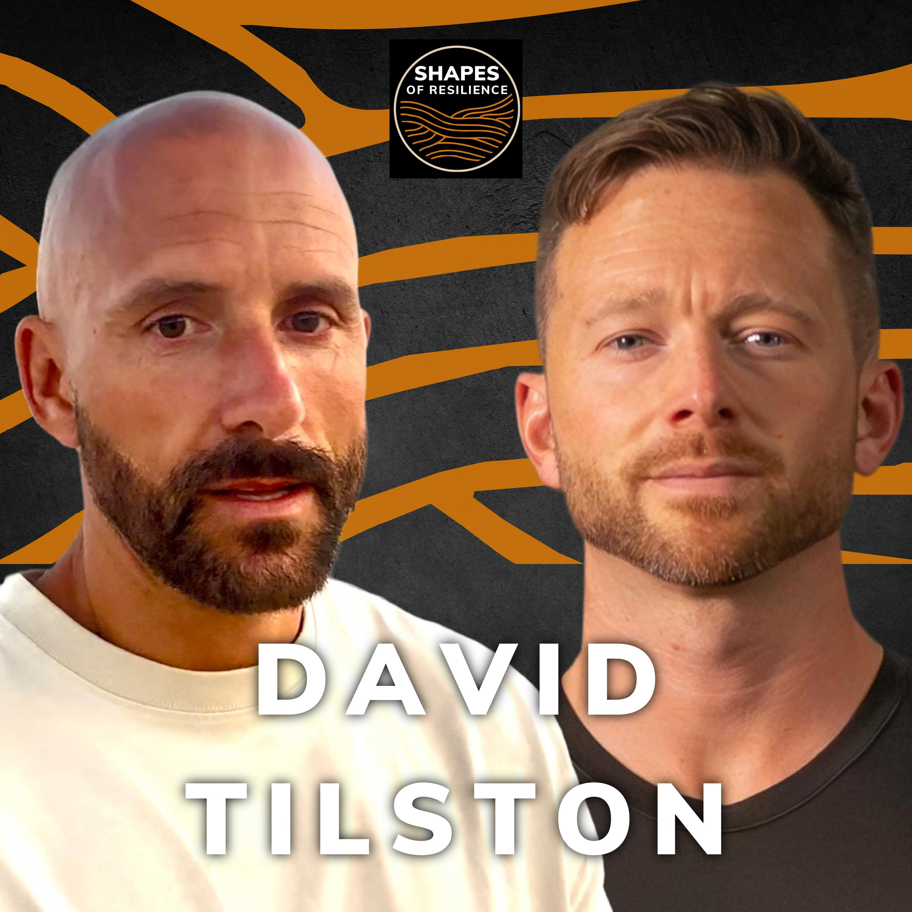 Shapes of Resilience