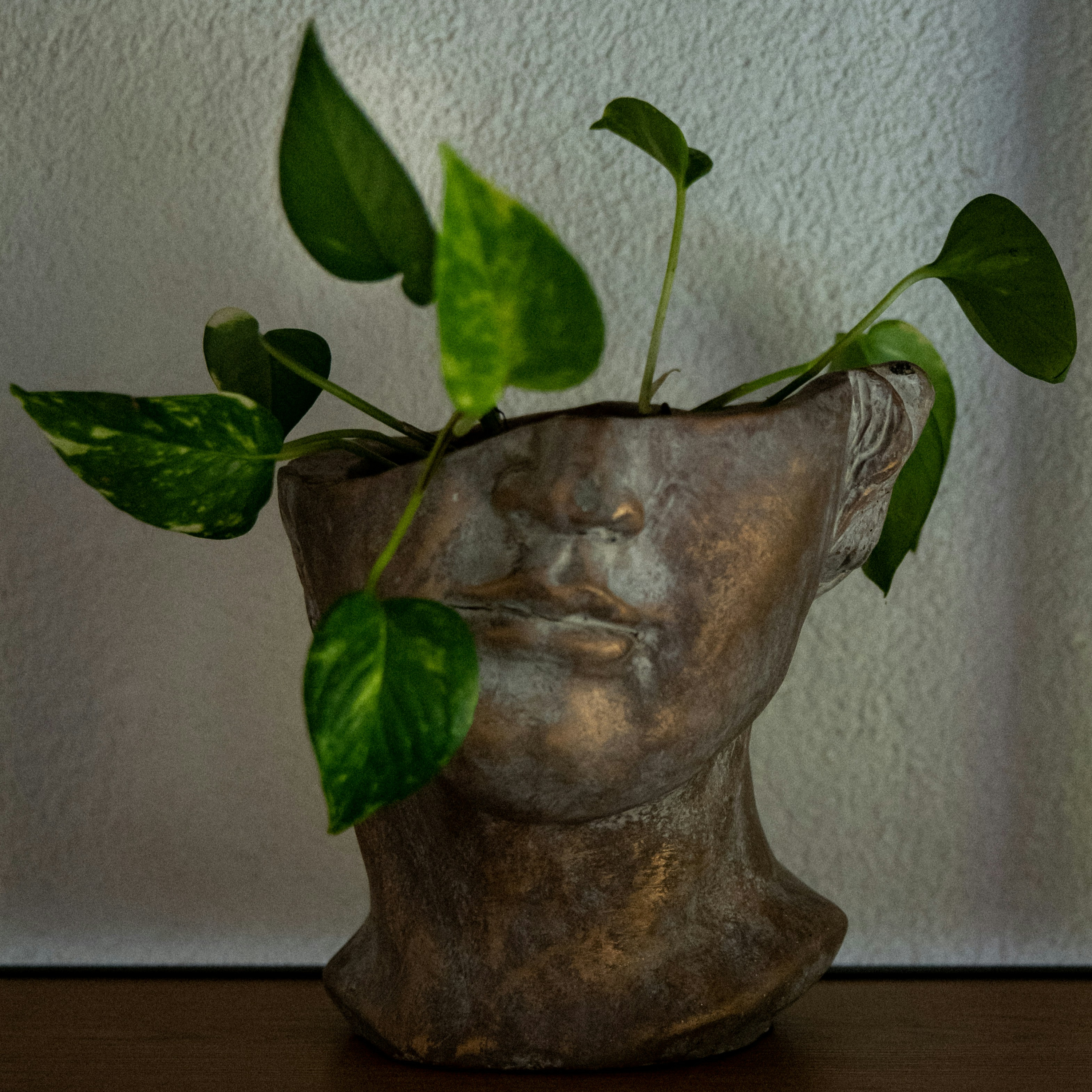 The Inner Fortress: Meditations of Marcus Aurelius episode artwork