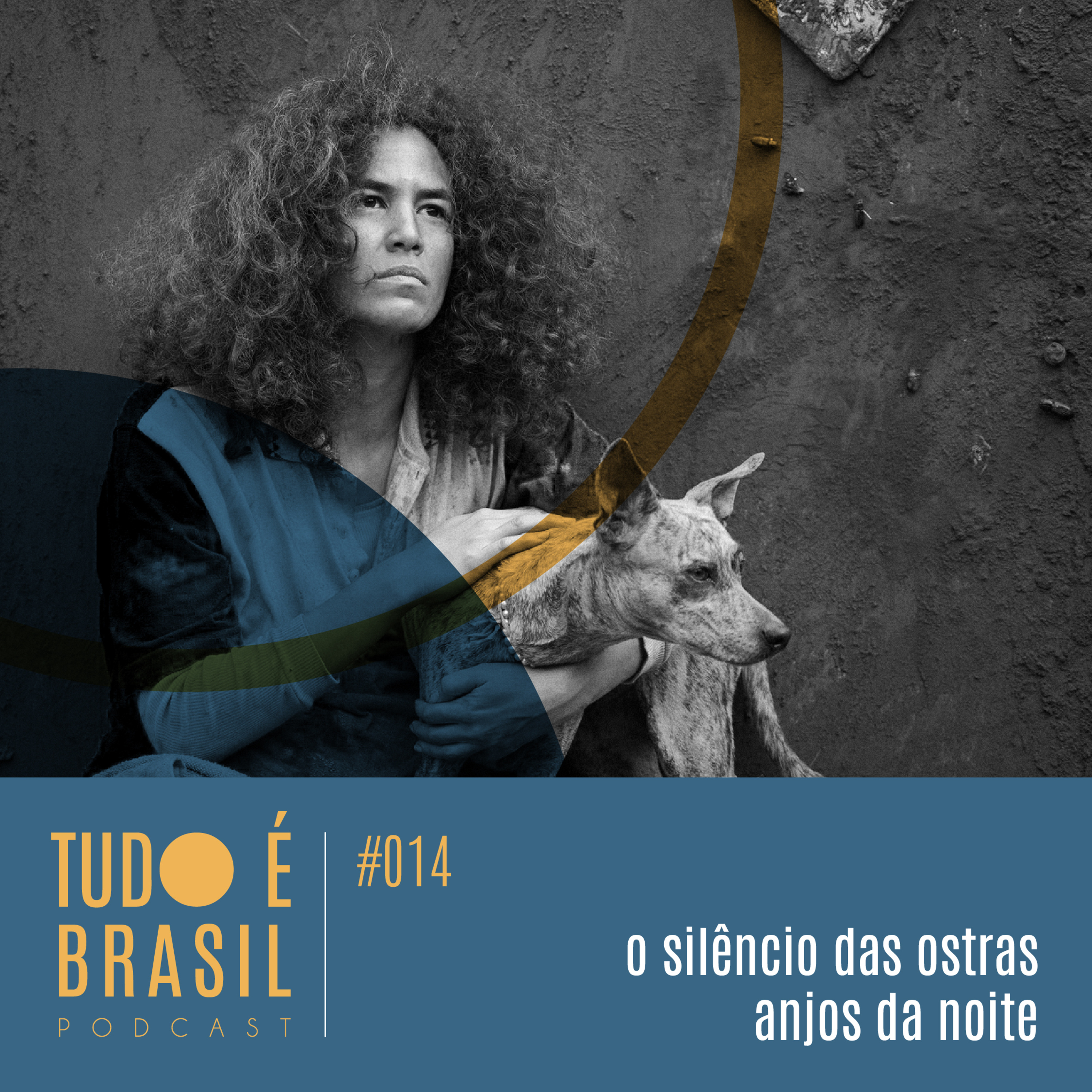 Tudo É Brasil