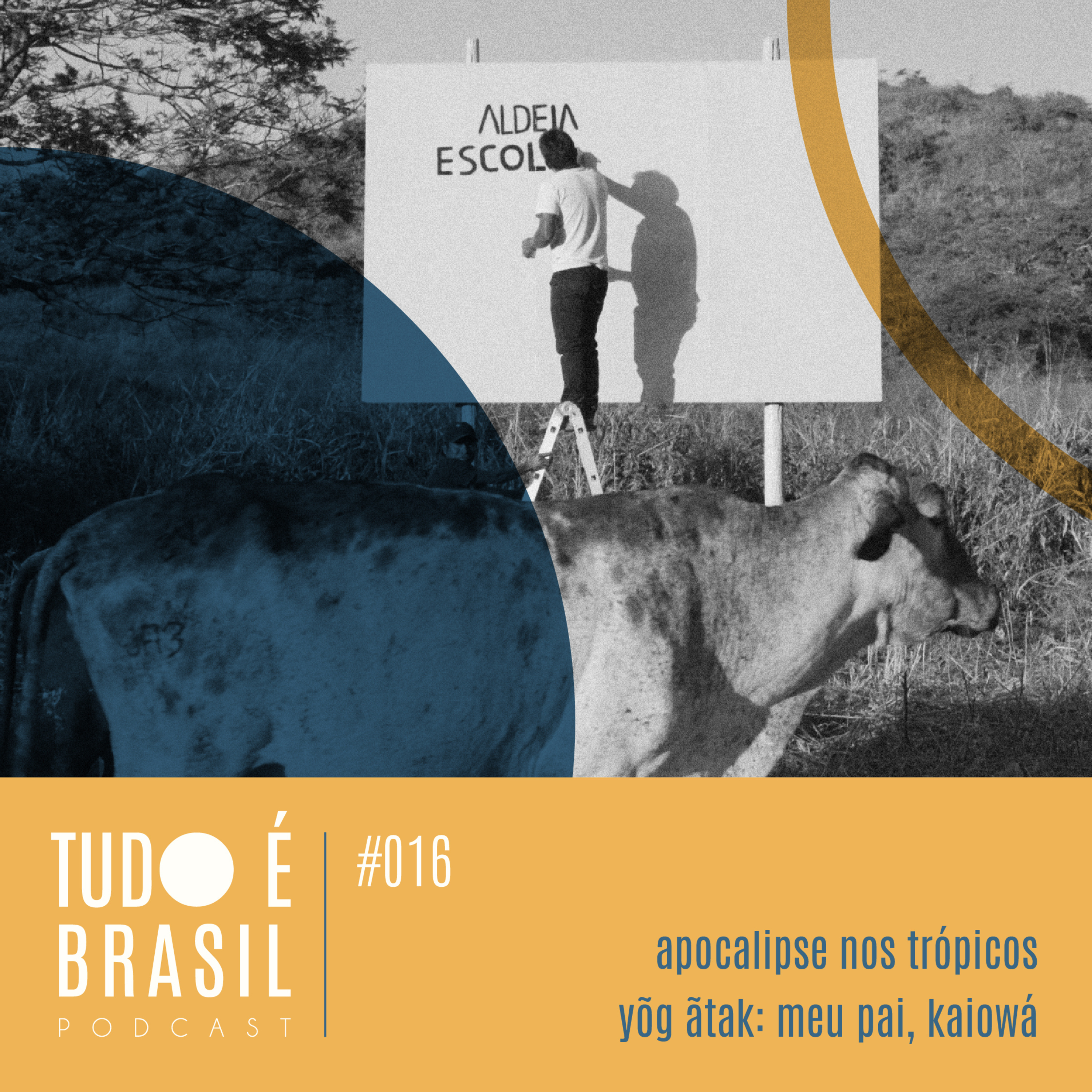 Tudo É Brasil