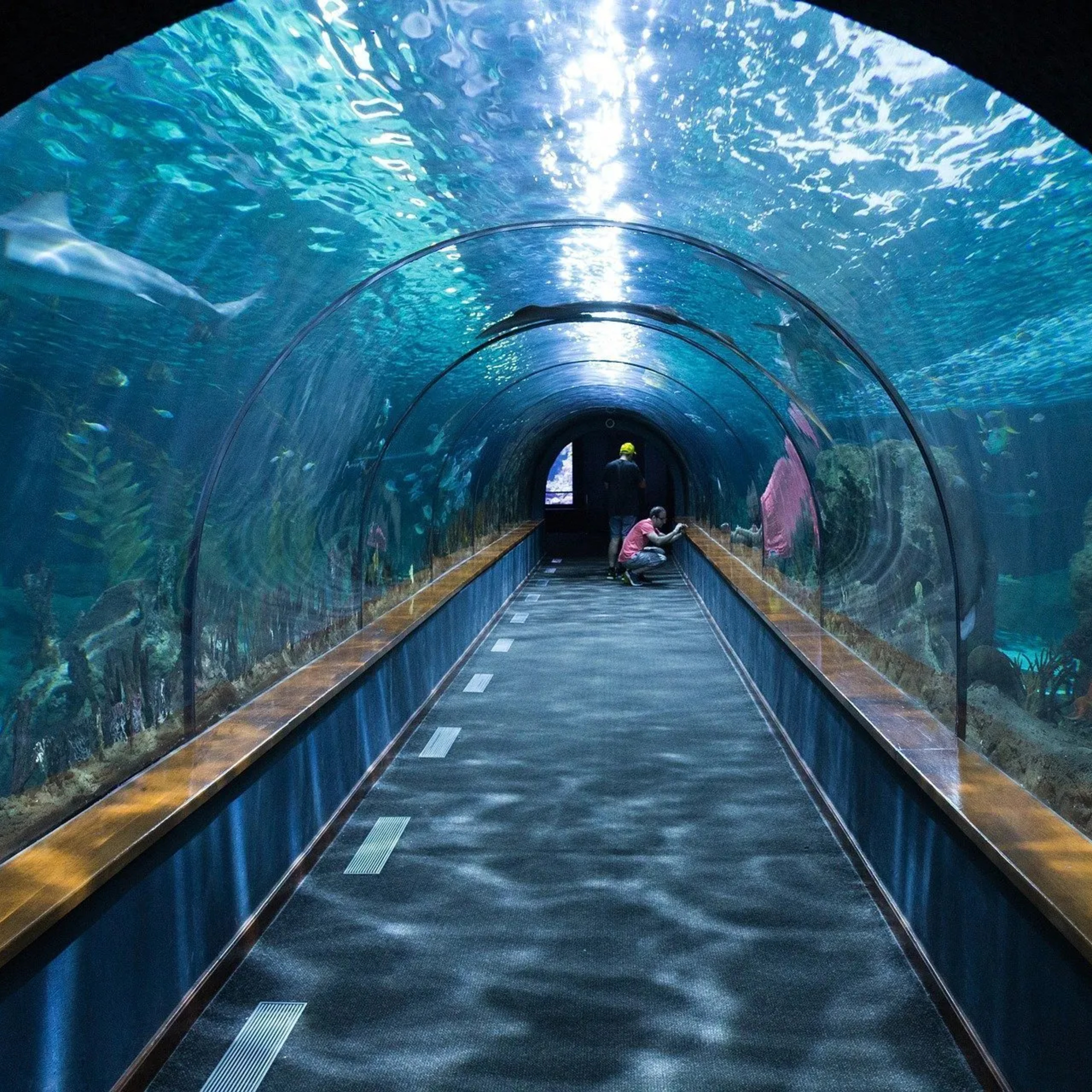 L'Acquario di Genova episode artwork