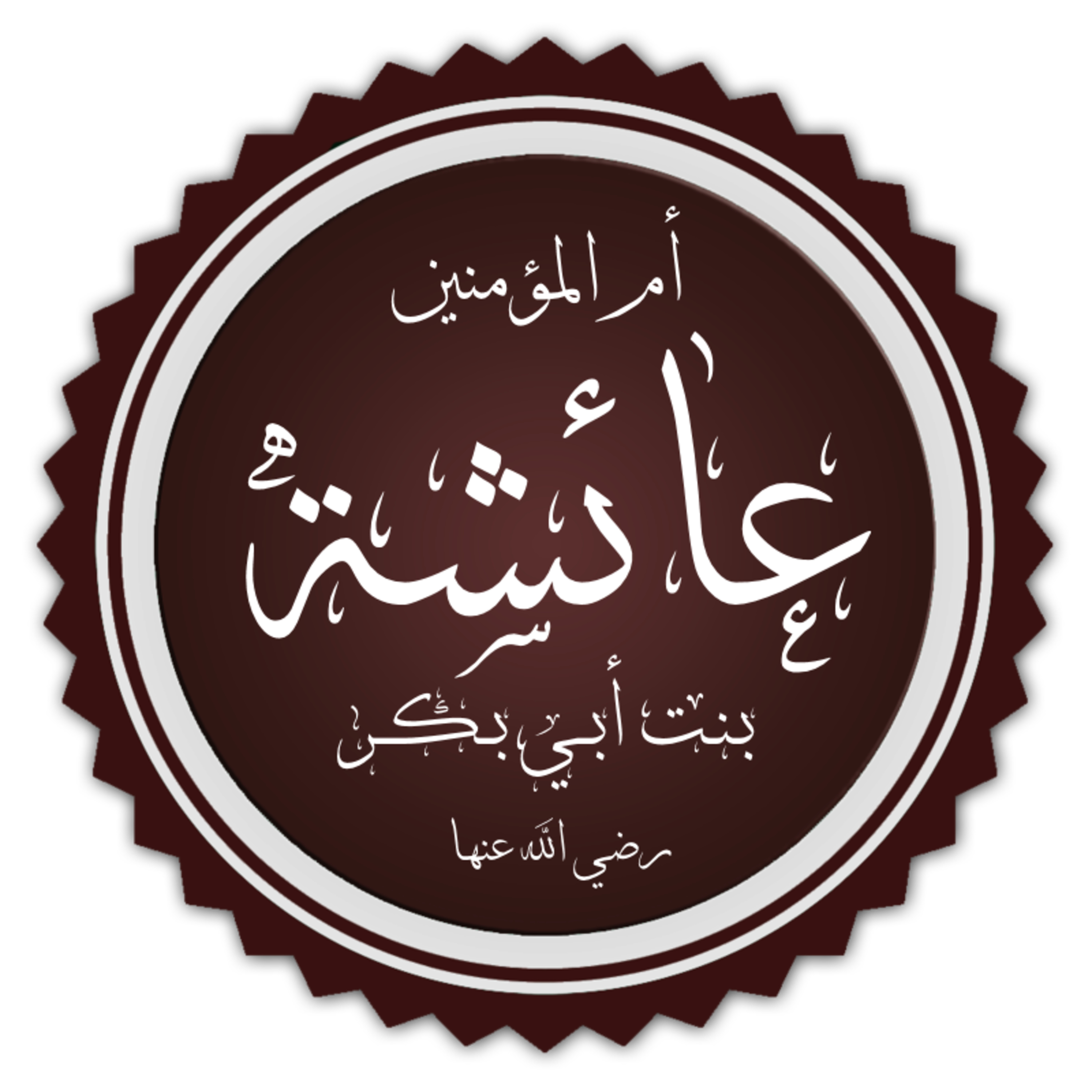 حياة أم المؤمنين عائشة رضي الله عنها episode artwork