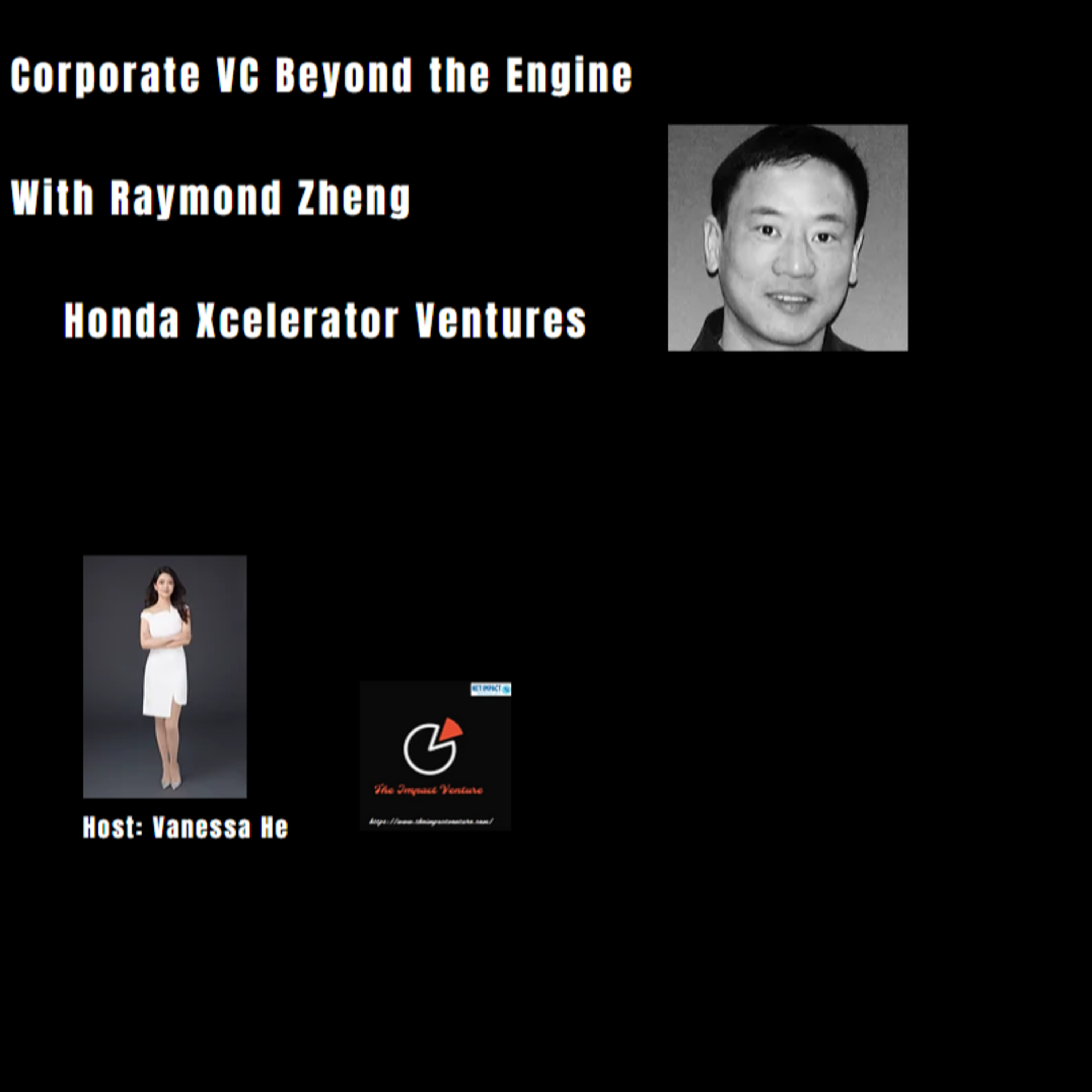 The Impact Venture