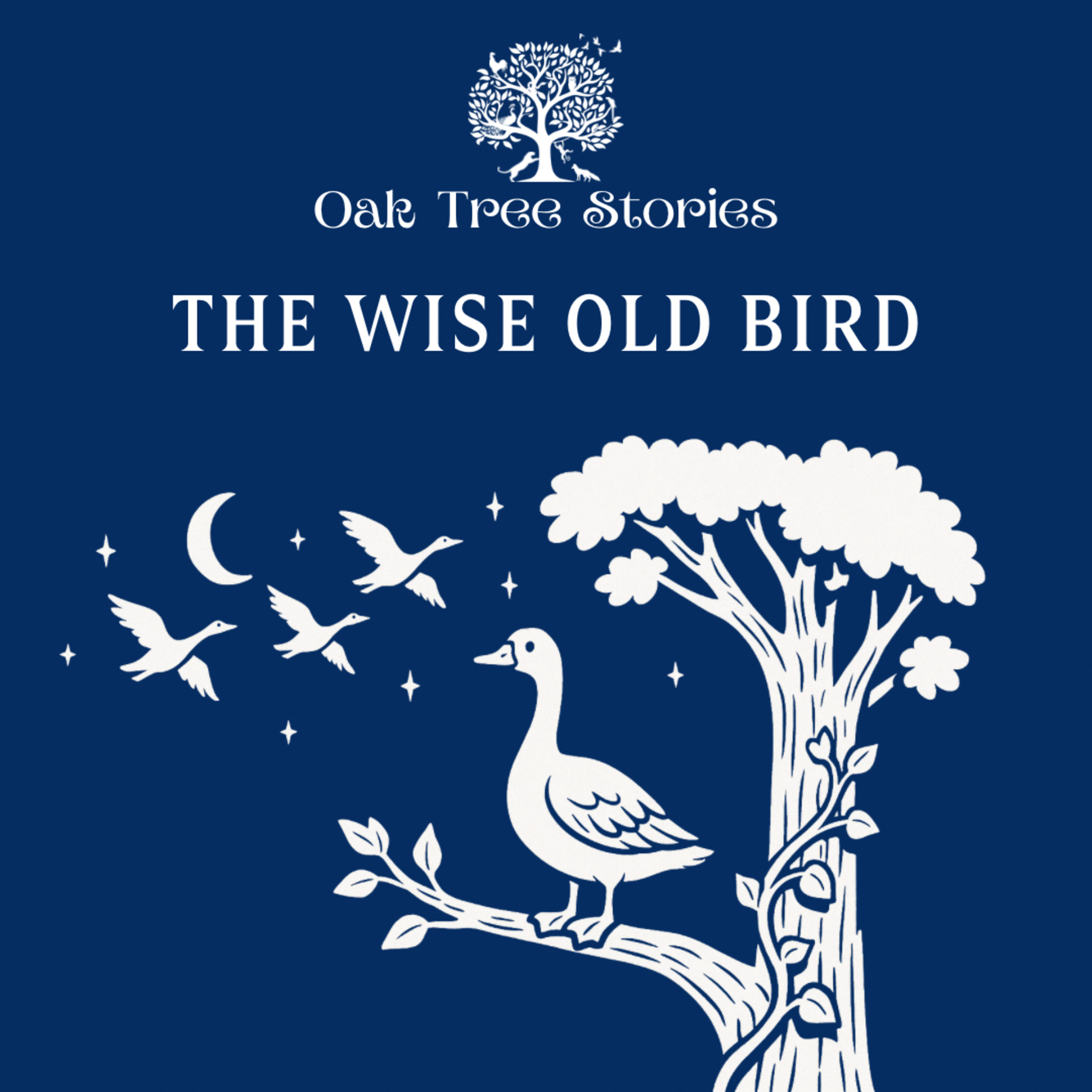 The Wise Old Bird episode artwork