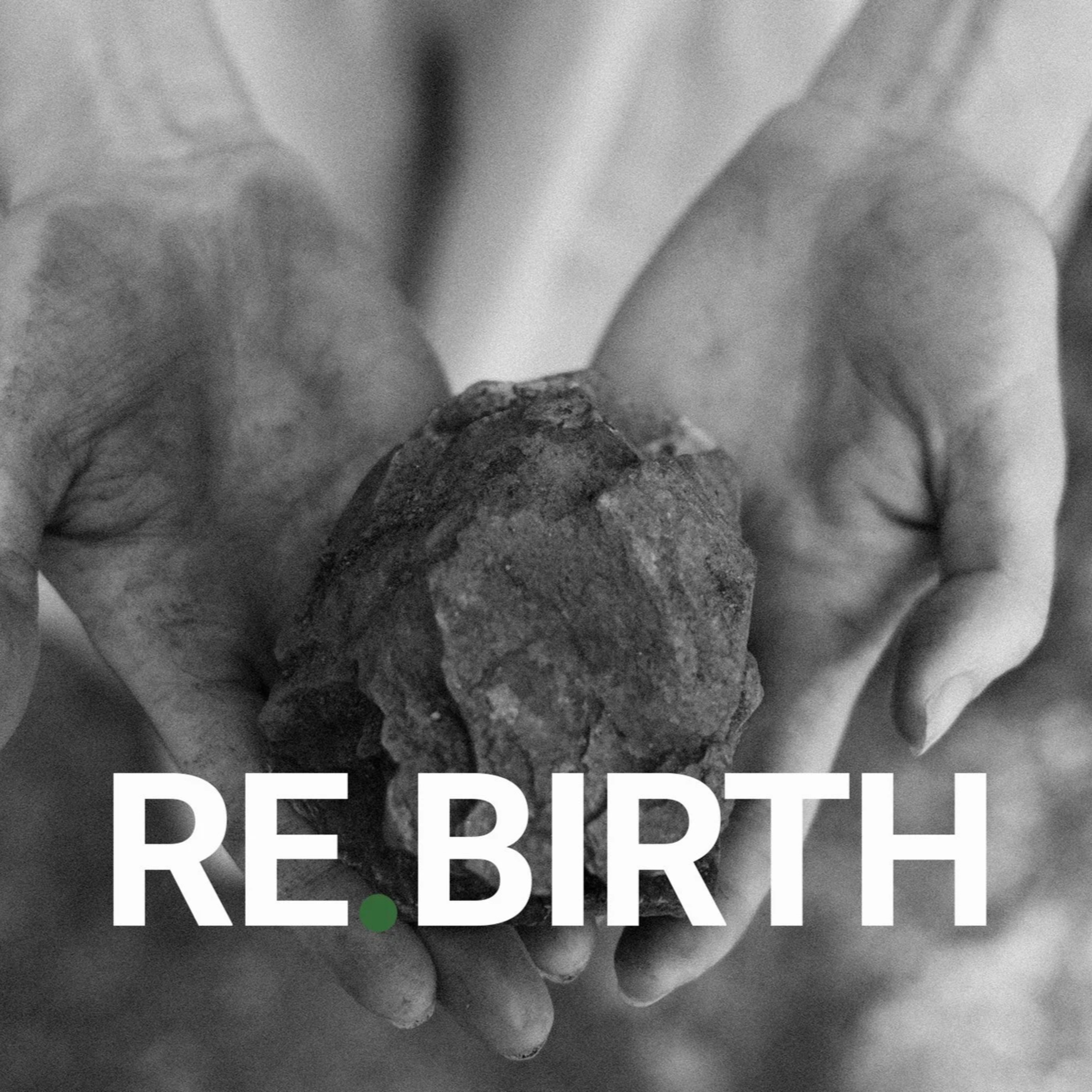 Re.Birth : A program to peel back the tradition and find the kingdom. episode artwork