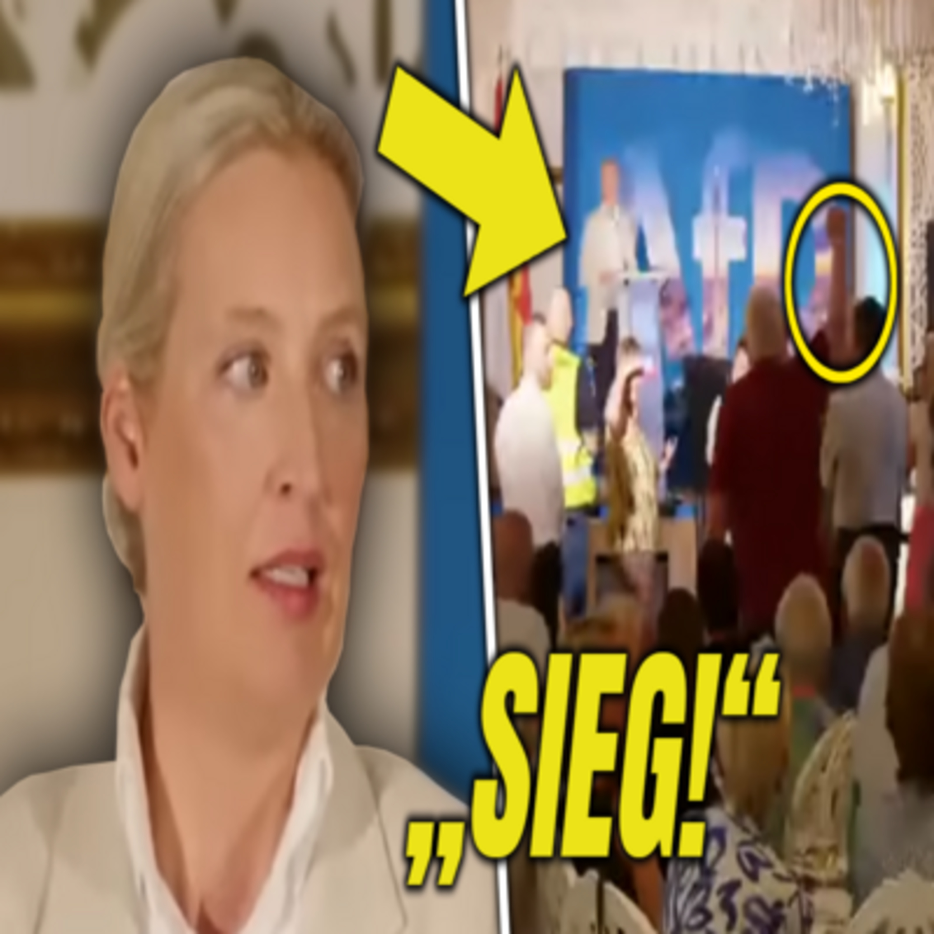 Alice Weidel‘s Veranstaltung Ist Eine KATASTROPHE! episode artwork